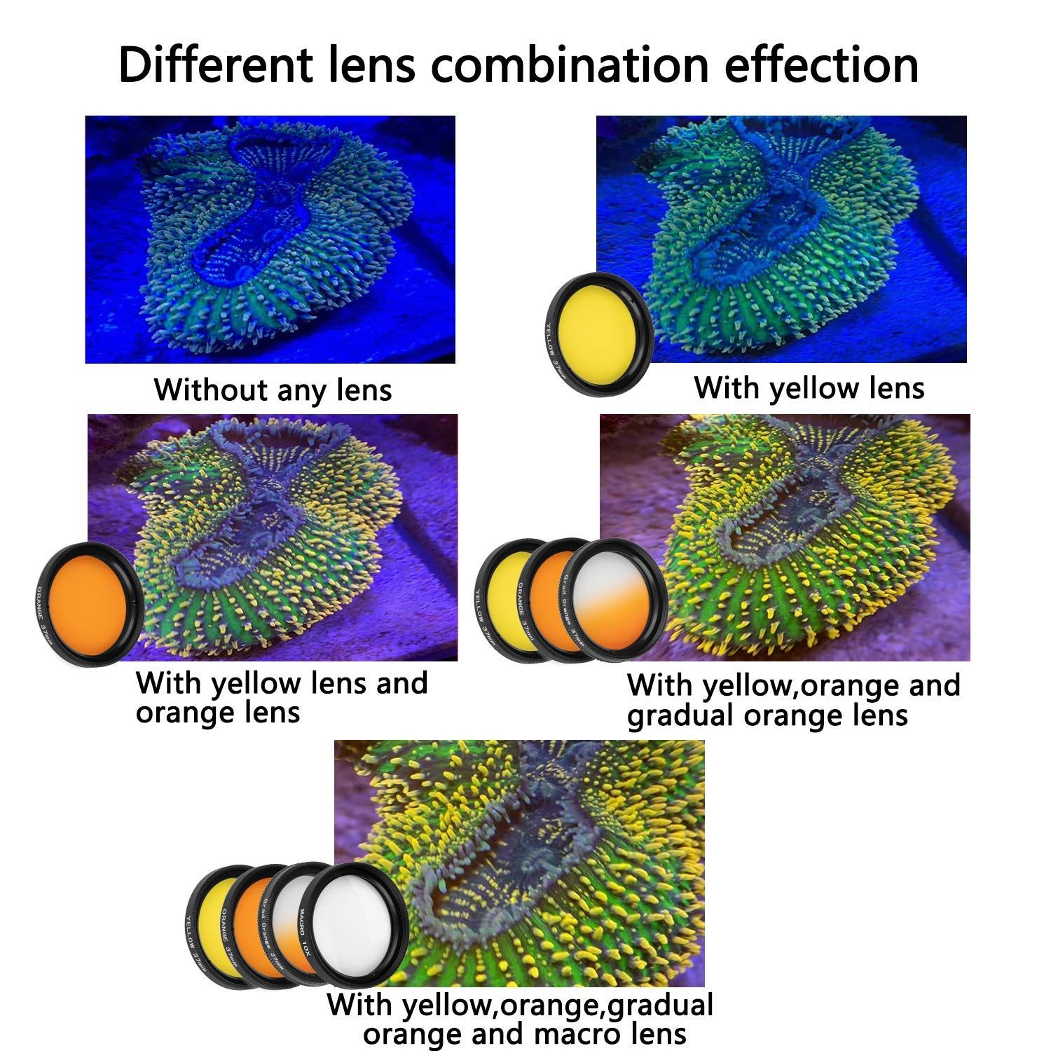 Nestecho Reef Coral Lens Phone Kits For Phone 7 Lenses Kit 1 Dust Shield Case 2 Lens Clips