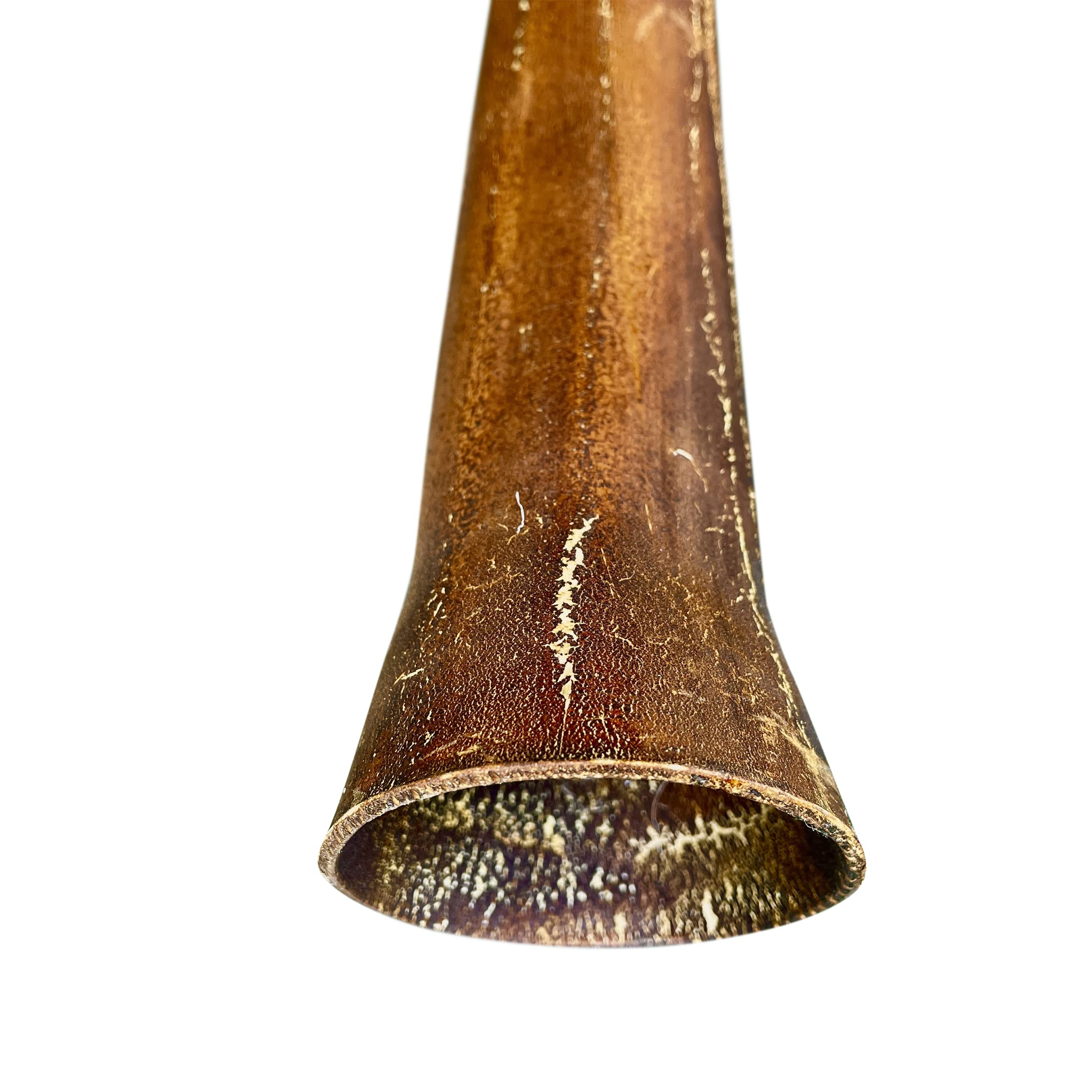 Hand Fired Modern Didgeridoo   Beeswax Mouthpiece   Easy Player!   Key Of D   By World Percussion Usa