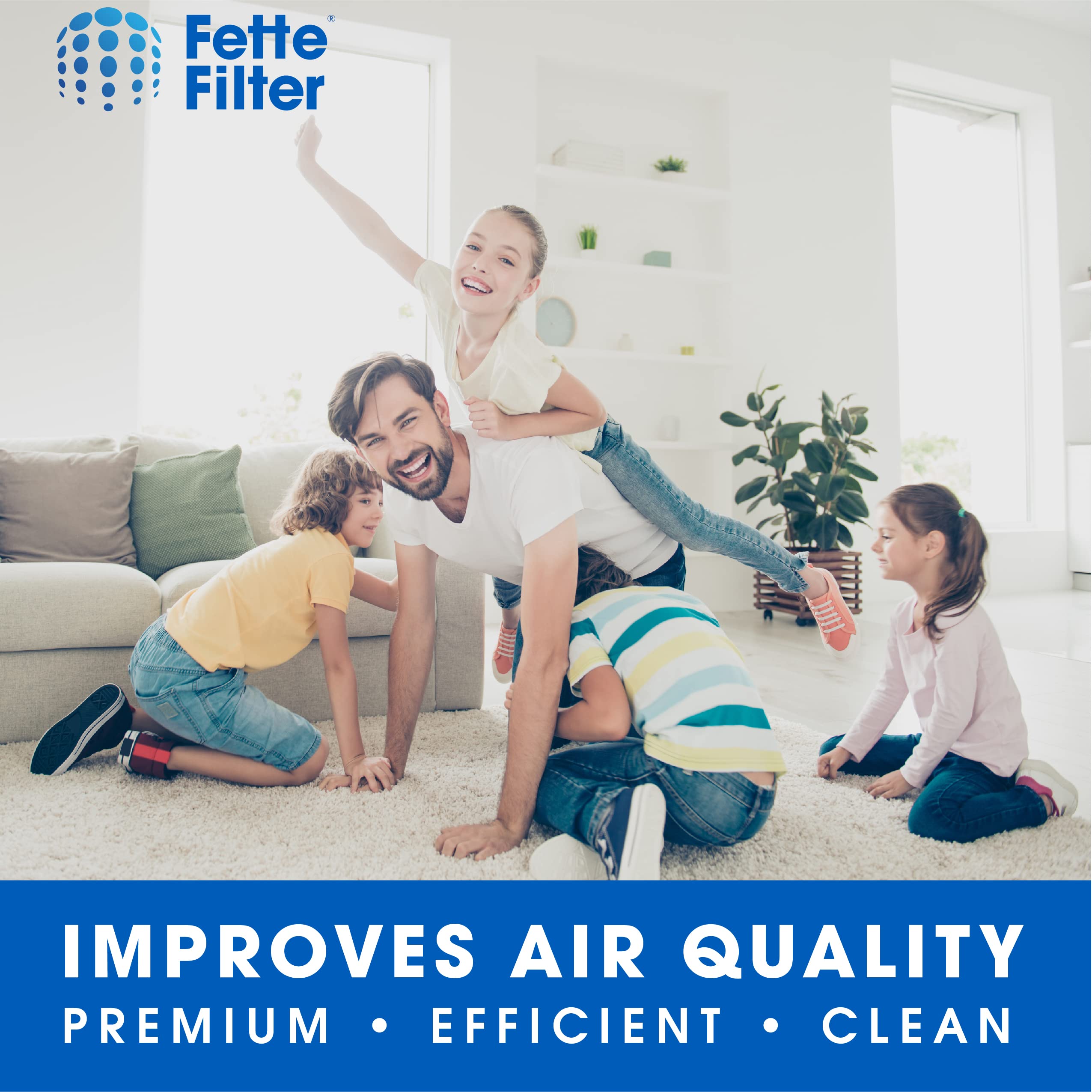 Fette Filter   Hsp002 True Hepa H13 Air Filter Compatible With Hathaspace Hsp002 Smart True Hepa Air Purifier For Home Large Roo