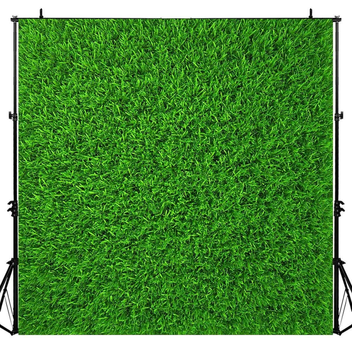 Nature Green Grass Backdrops for Photography 6x6FT Spring Realistic Grass Lawn Backgrounds for Baby Shower Birthday Party Photos
