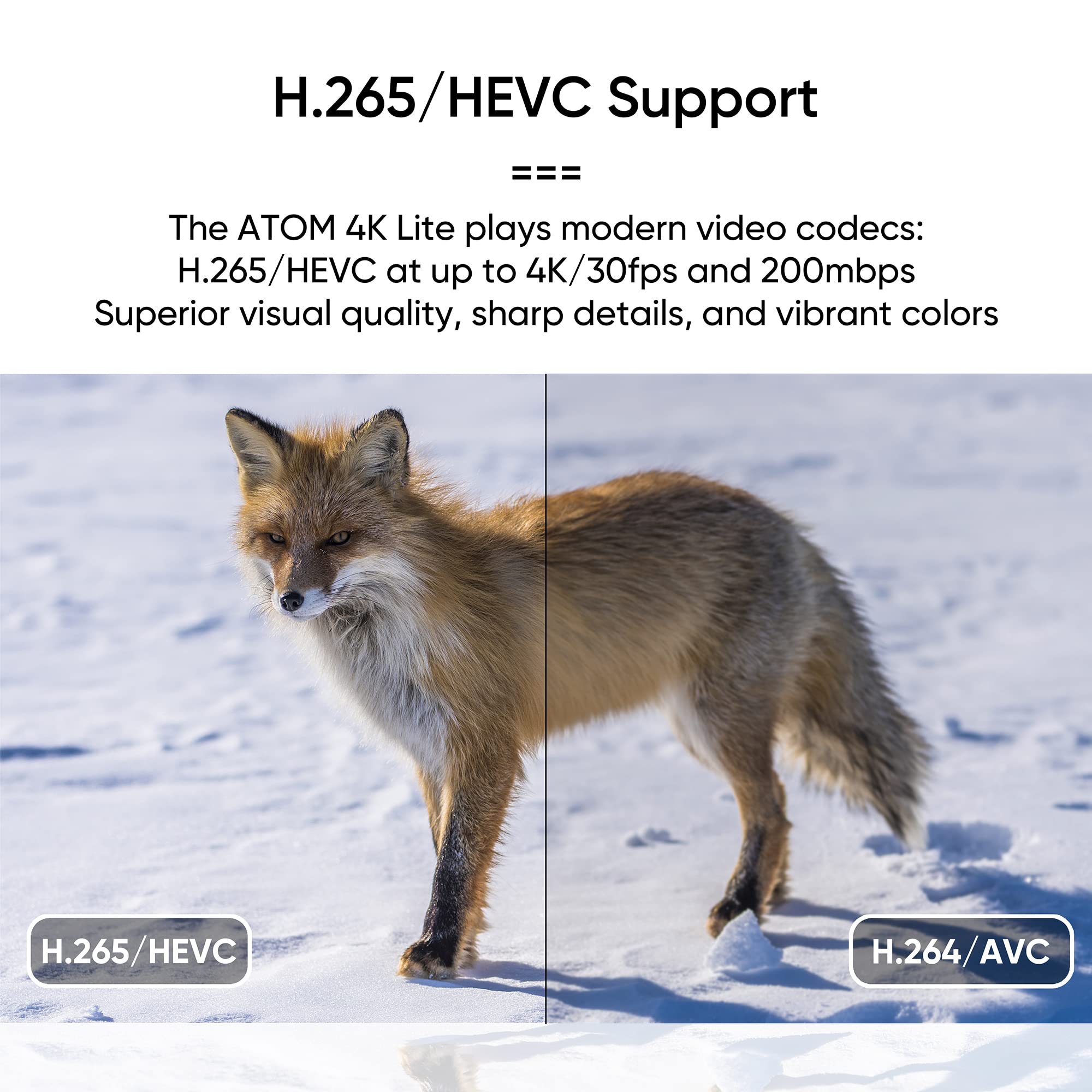 Neumi Atom 4K Lite Ultra Hd Digital Media Player For Usb Drives And Sd Cards   Plays 4K/Uhd Videos, Hevc/H.265, Hdmi And Analog