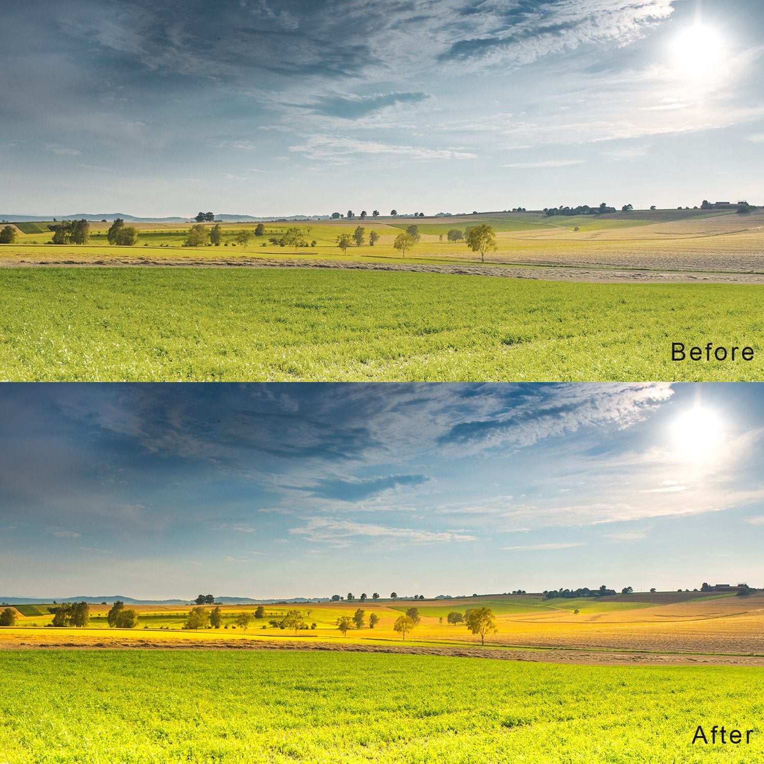 Chromlives White Balance Grey Card 5''X4'' For Video Dslr And Film Premium 18% Exposure Photography Card Set,Black White And 18%