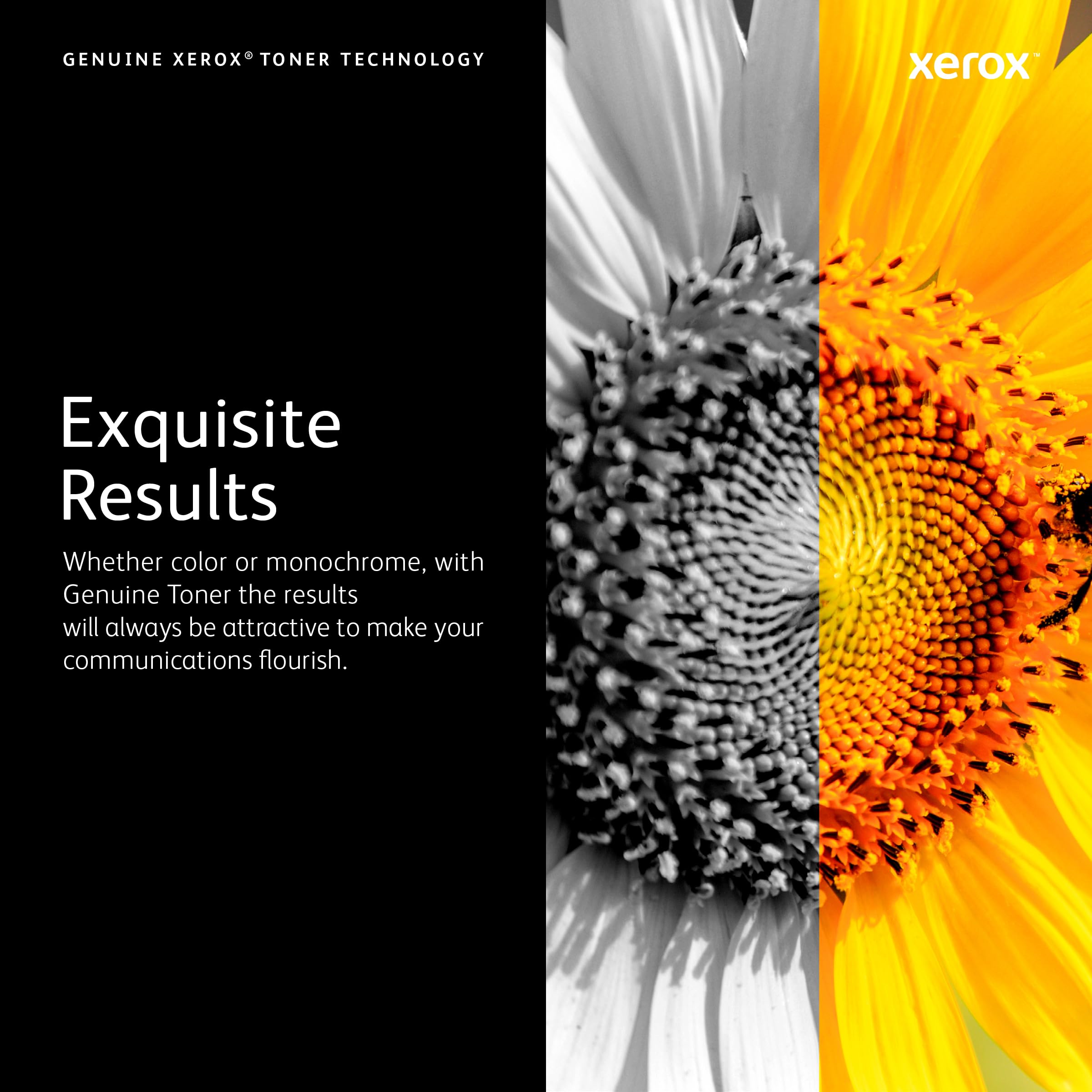 Xerox 006R04376 Toner, 3,000 Page-Yield, Black