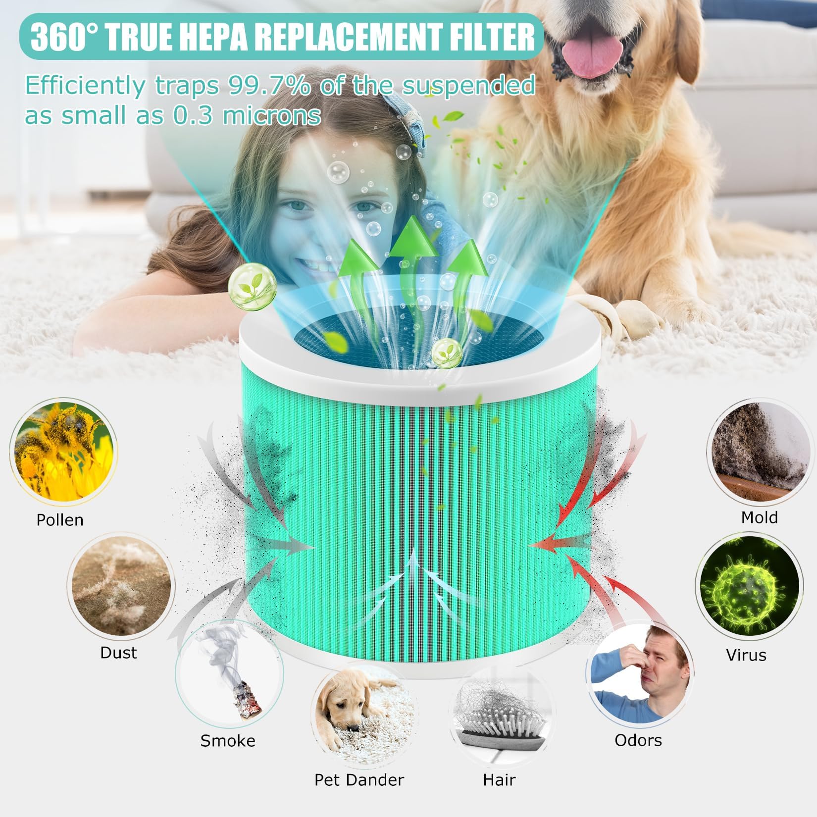Hy1800 H13 True Hepa Replacement Filter Compatible With Morento/Chivalz/Loytio/Ayafato/Honeyuan/Ioiow Hy1800 Air Purifier, 3 In