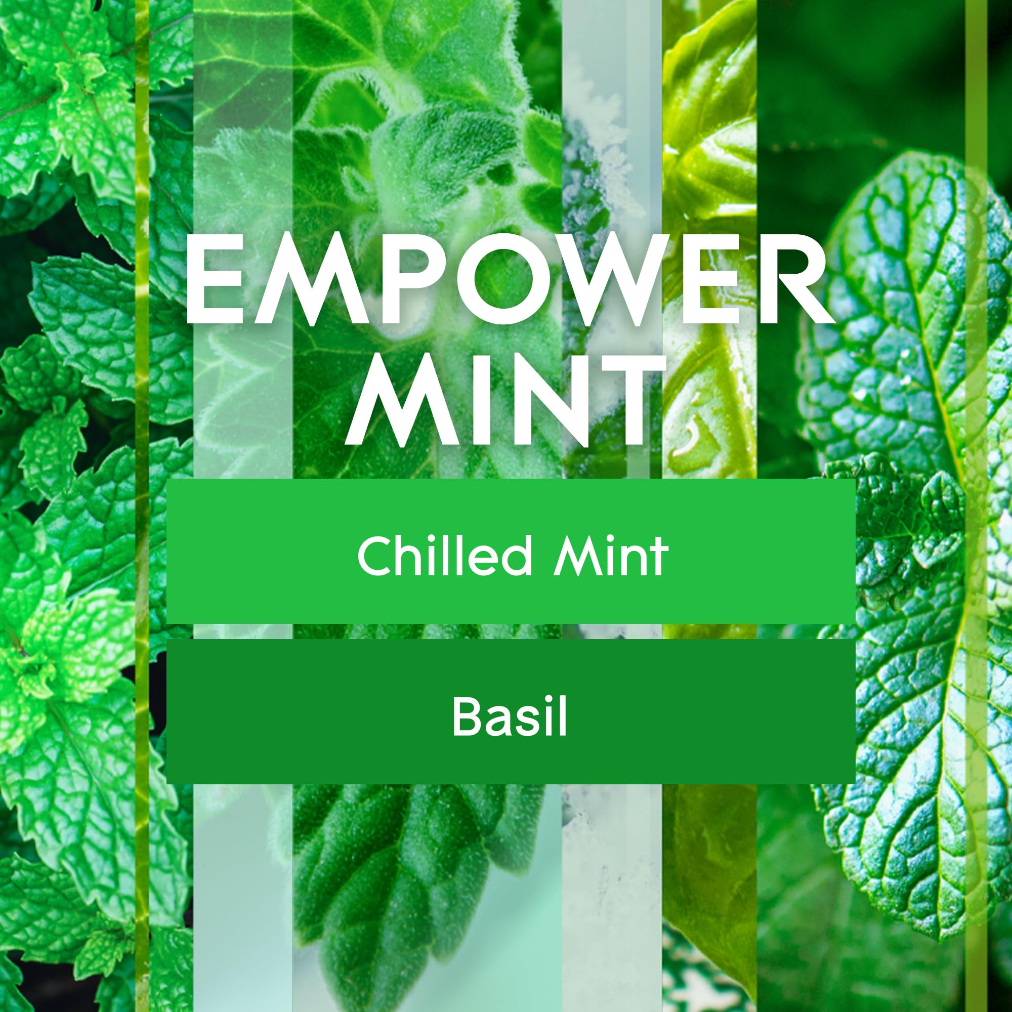 Glade Plugins Refills Air Freshener, Scented And Essential Oils For Home And Bathroom, Empower Mint, 3.35 Fl Oz, 5 Count