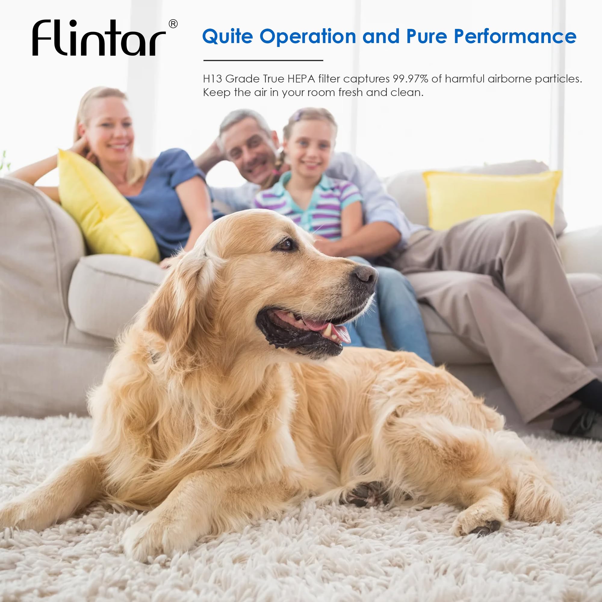 Flintar Vital 100S Toxin/Smoke Absorber Replacement Filter, Compatible With Levoit Vital 100S Air Purifier, H13 True Hepa + Acti