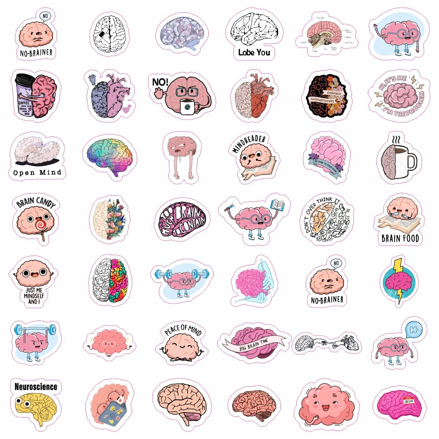 Brain Stickers For Water Bottle And Laptop   Brain Party Favors & Decorations, Waterproof Vinyl Decals, Science And Anatomy Stic