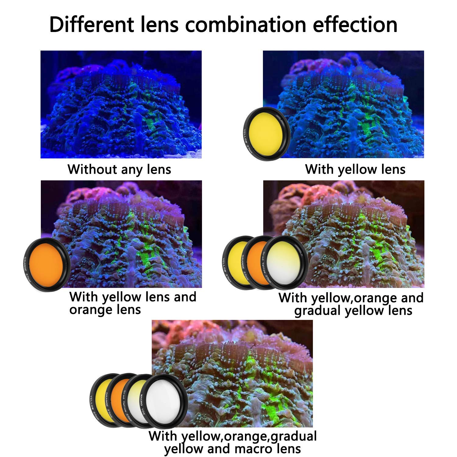 Nestecho Reef Coral Lens Phone Kits For Phone 7 Lenses Kit 1 Dust Shield Case 2 Lens Clips