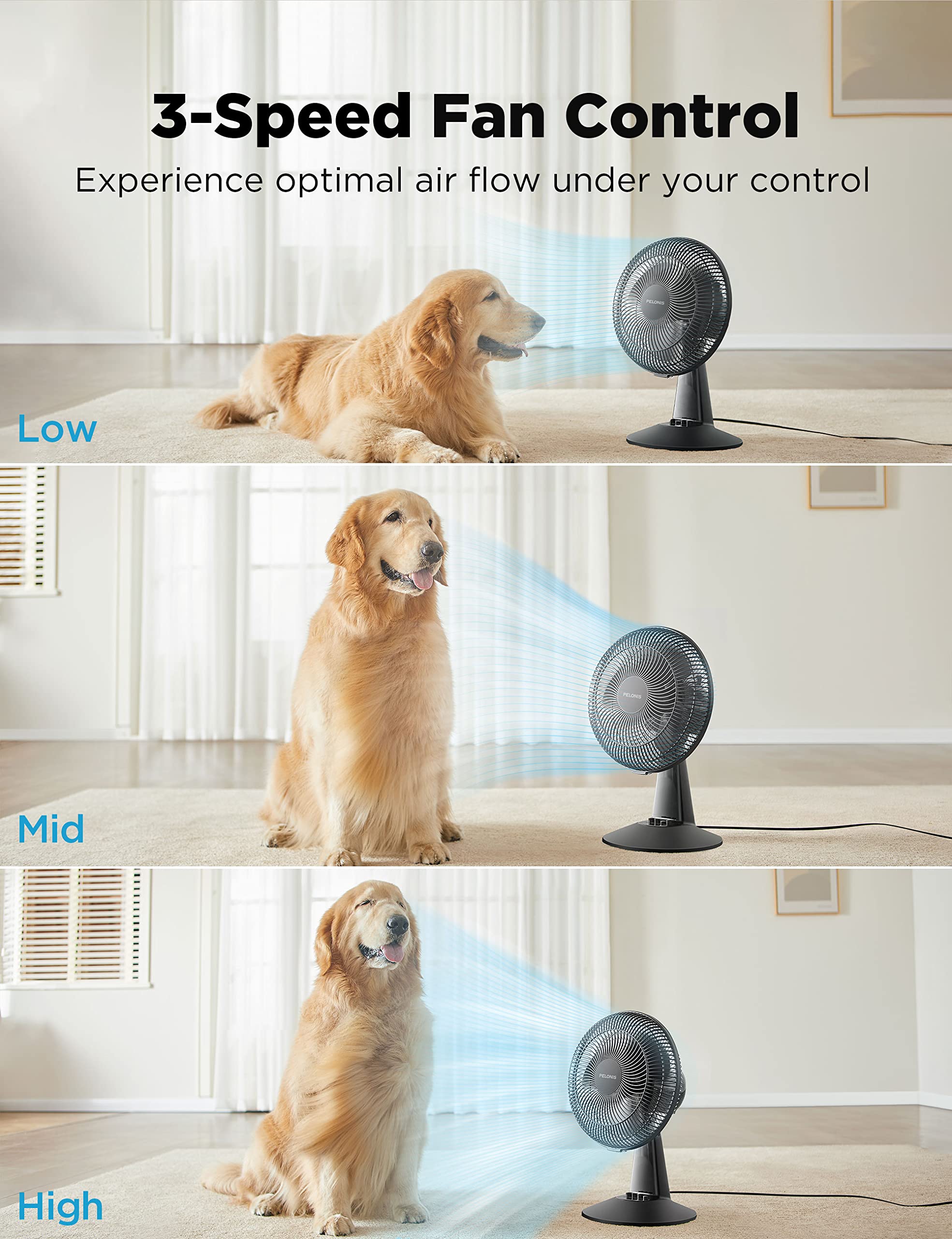 Pelonis Table Fan 12 Inch, 120 Oscillating Table Fan Small Portable Electric Plug In Desk Fan With 3 Speeds, 126 Adjustable Tilt