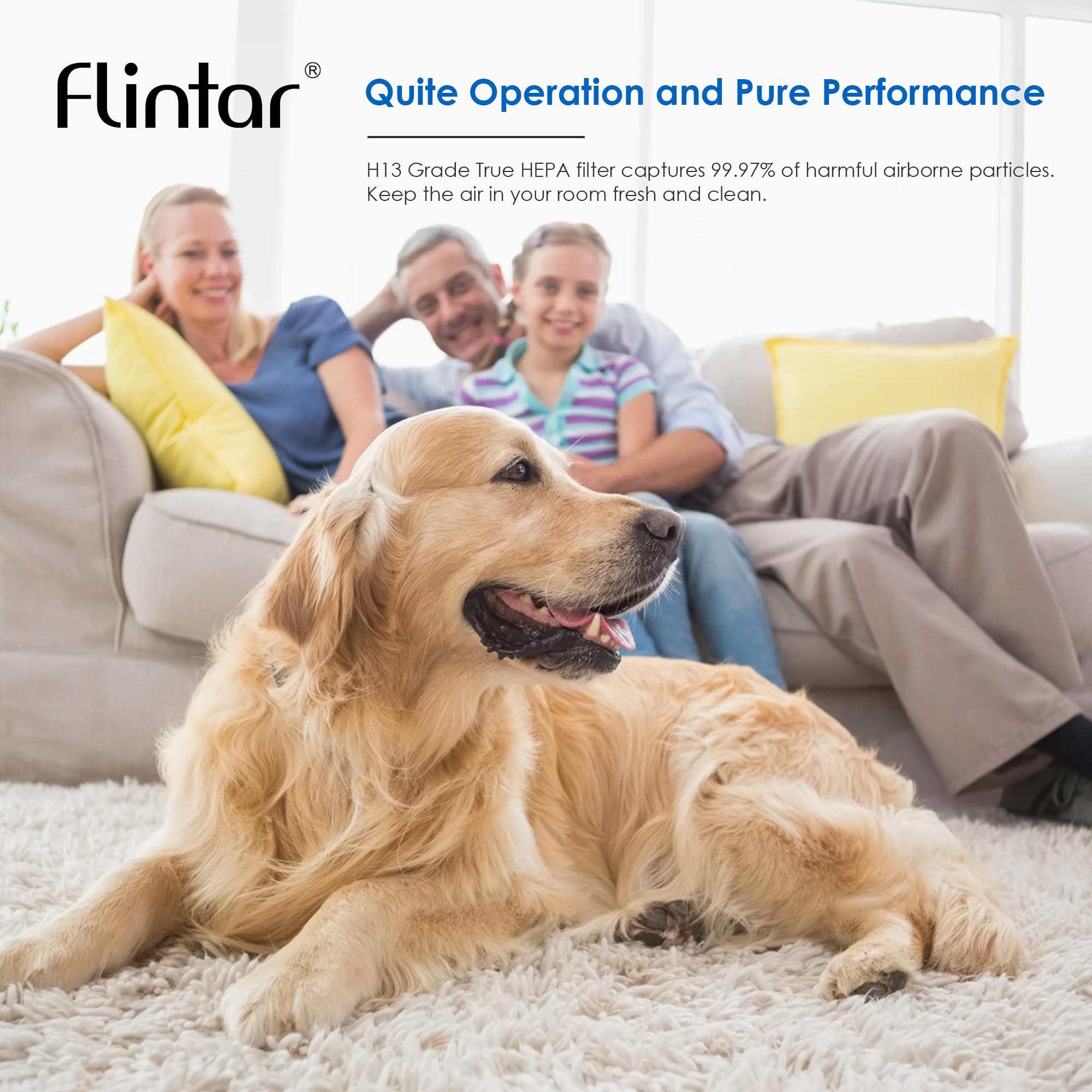 Flintar Vital 200S Toxin/Smoke Absorber Replacement Filter, Compatible With Levoit Vital 200S Air Purifier, H13 True Hepa + Acti