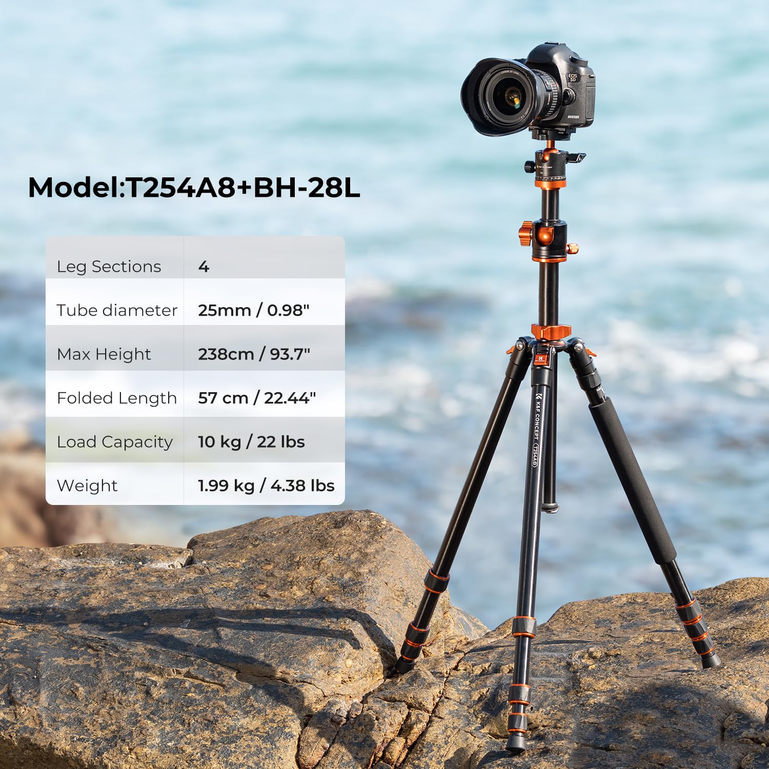 K&F Concept 94 Inch Camera Tripods 4 Section Ultra High Aluminum Professional Detachable Monopod Tripod With 360 Degree Ball Head Quick Release Plate For Dslr Slr Cameras T254A8+Bh 28L (Sa254T1)