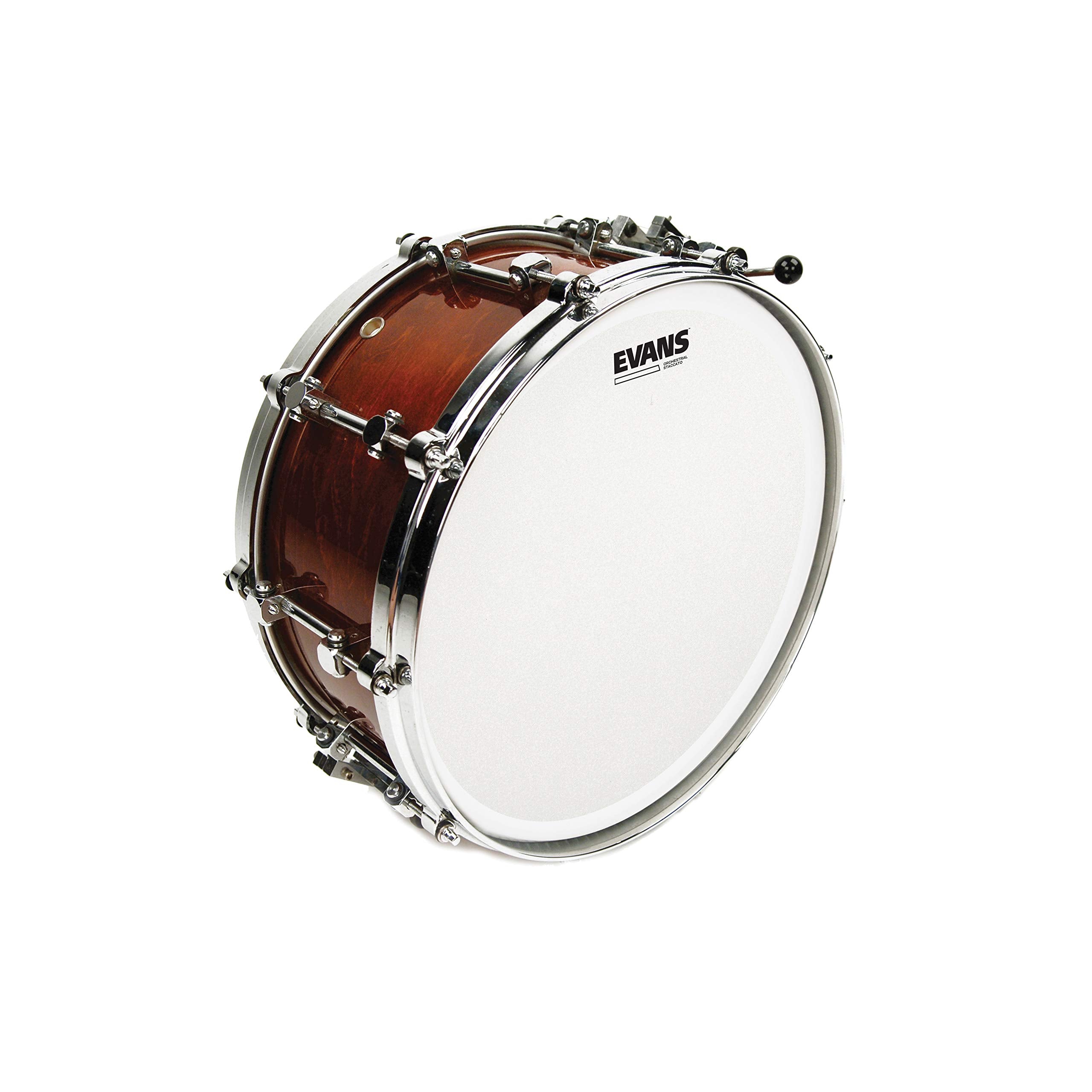 Evans Orchestral Staccato Snare Batter Drumhead, 14 Inch