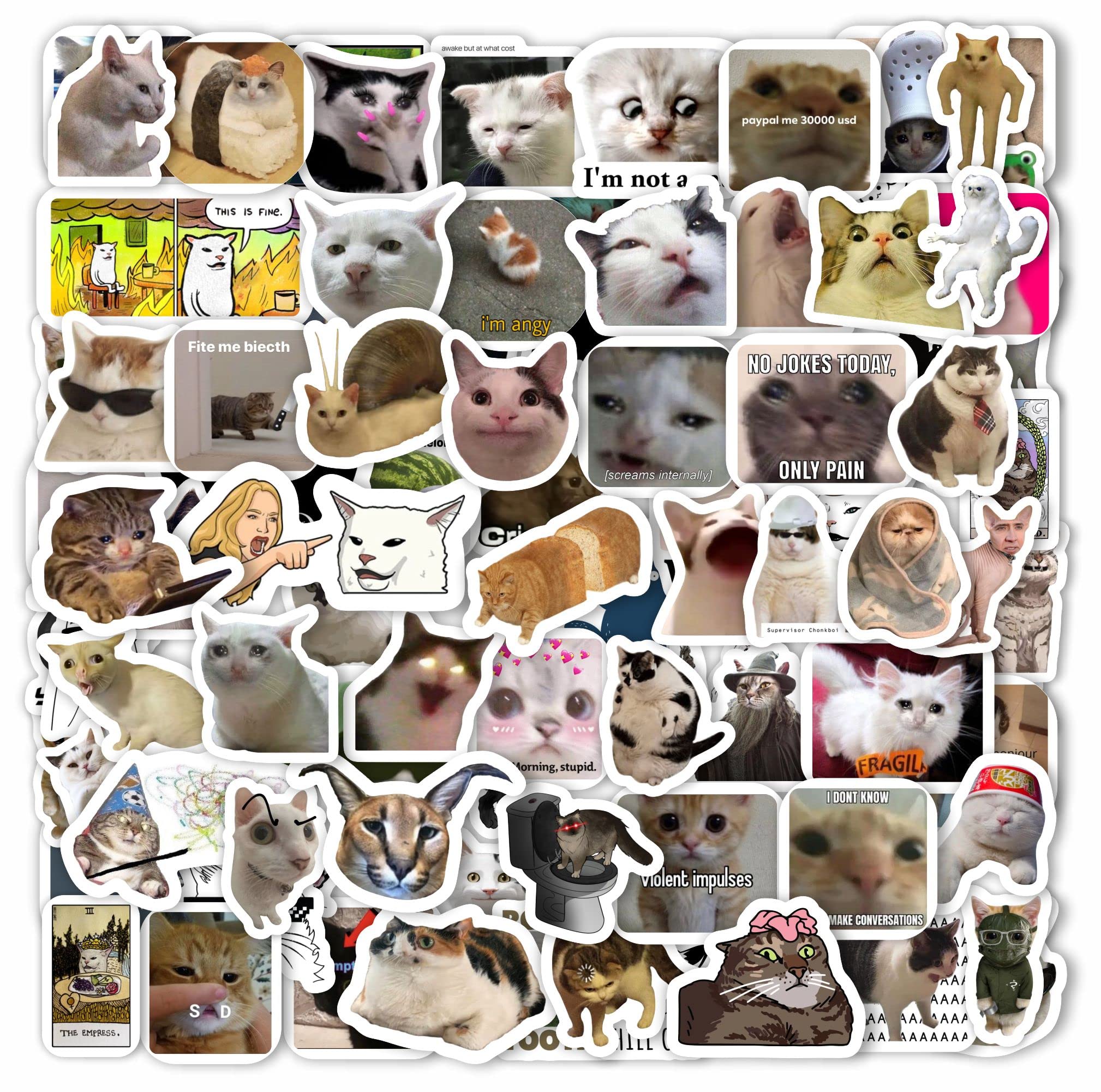 100Pcs Cat Meme Stickers   Funny Cat Stickers, Crying Cat Meme, Sad Cat Meme, Meme Cat, Cat Memes Gifts, Grumpy Cat Memes, Cat F