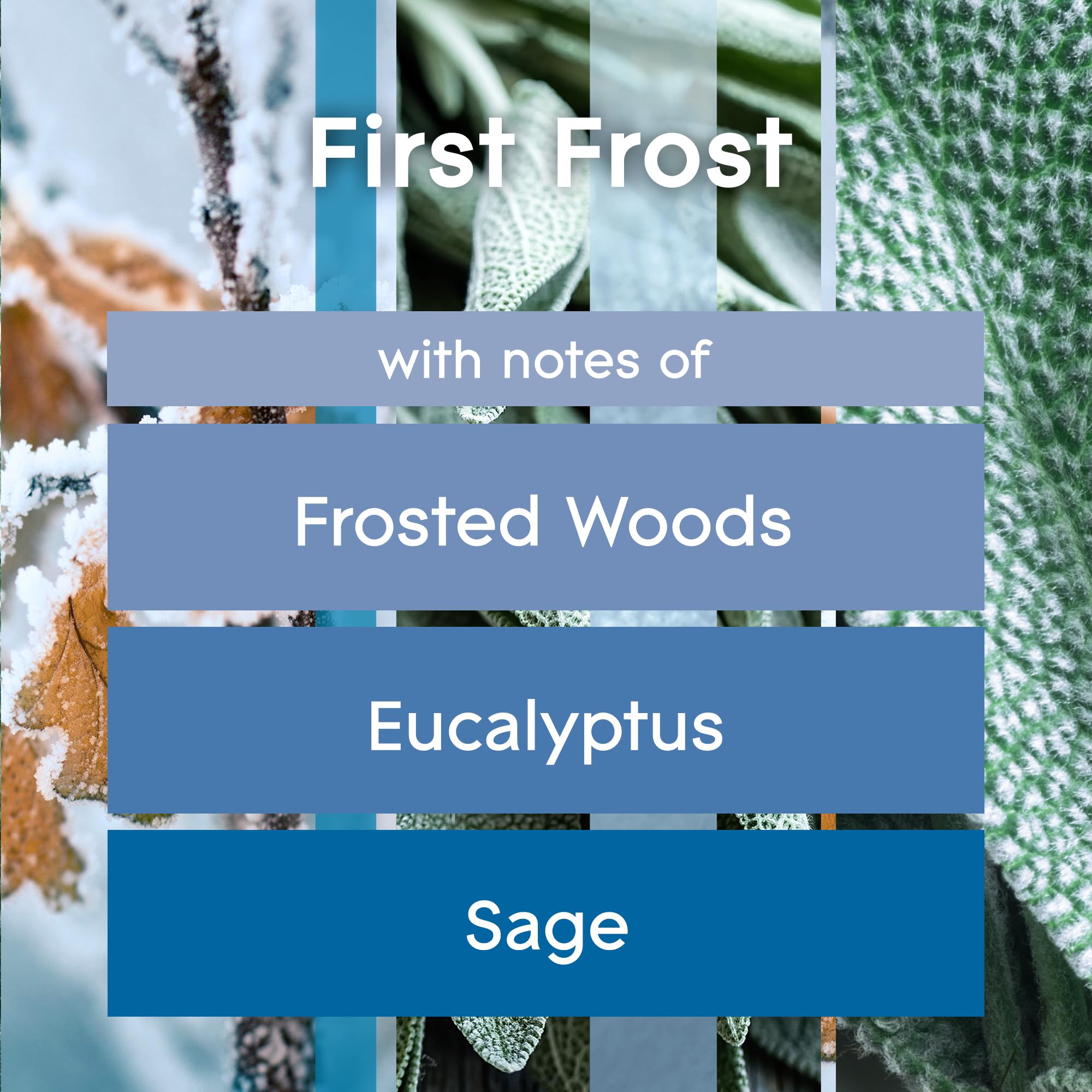 Glade Plugins Refills Air Freshener, Scented And Essential Oils For Home And Bathroom, First Frost, 1.34 Fl Oz, 2 Count