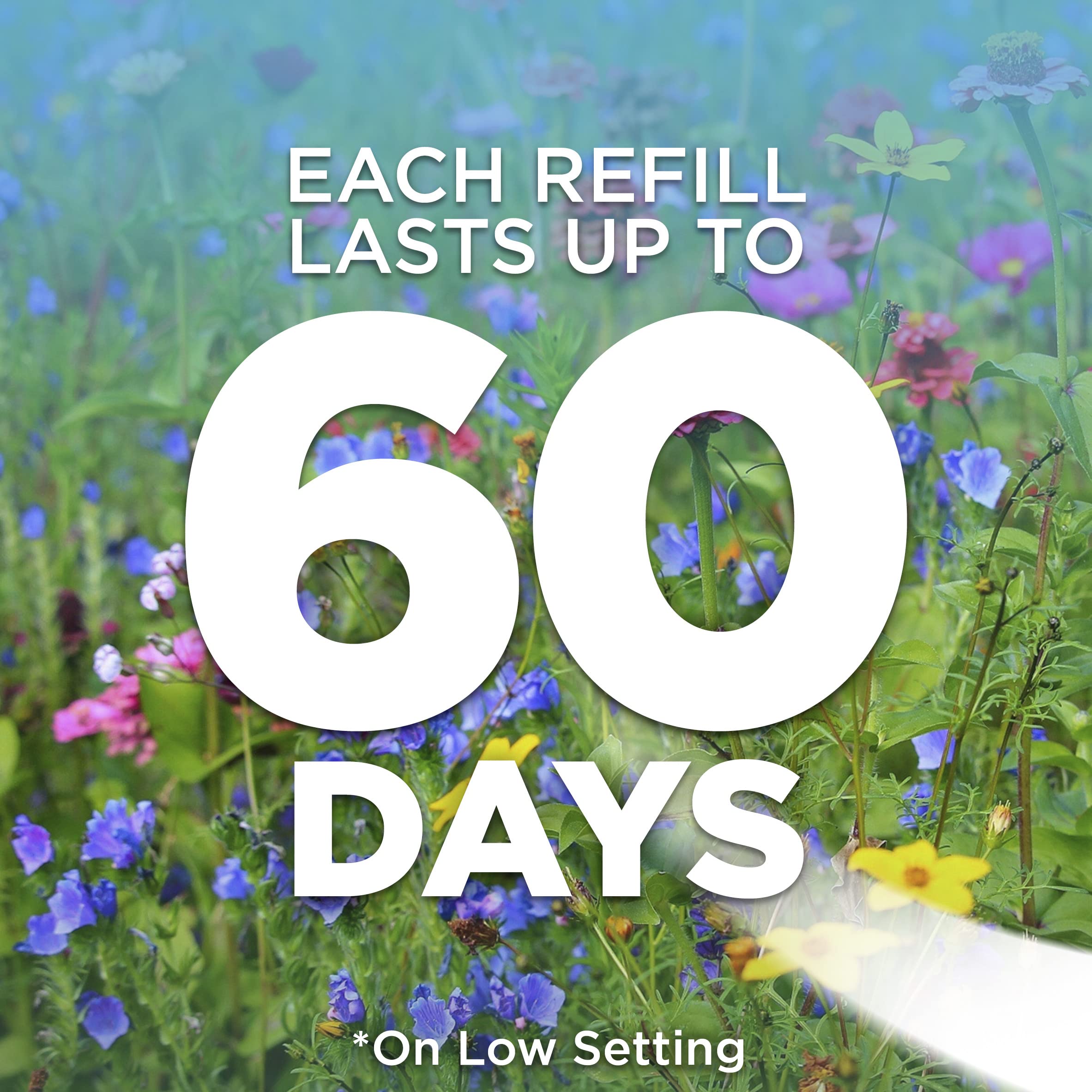 Air Wick Plug In Scented Oil Refill, 10Ct, Blue Agave And Bamboo, Air Freshener, Essential Oils