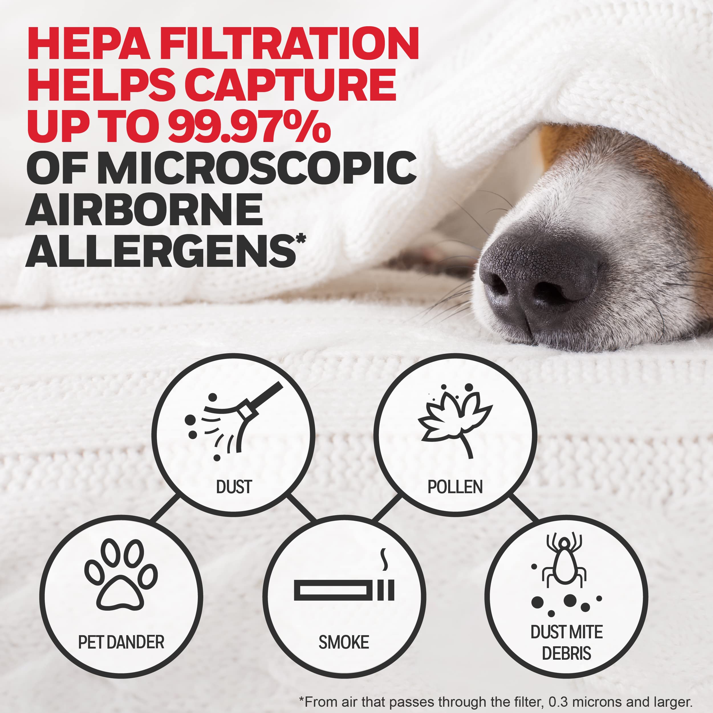 Honeywell Hepa Air Purifier Filter Kit   Includes 1 Hepa R Replacement Filter And 4 A Carbon Pre Cut Pre Filters   Airborne Alle