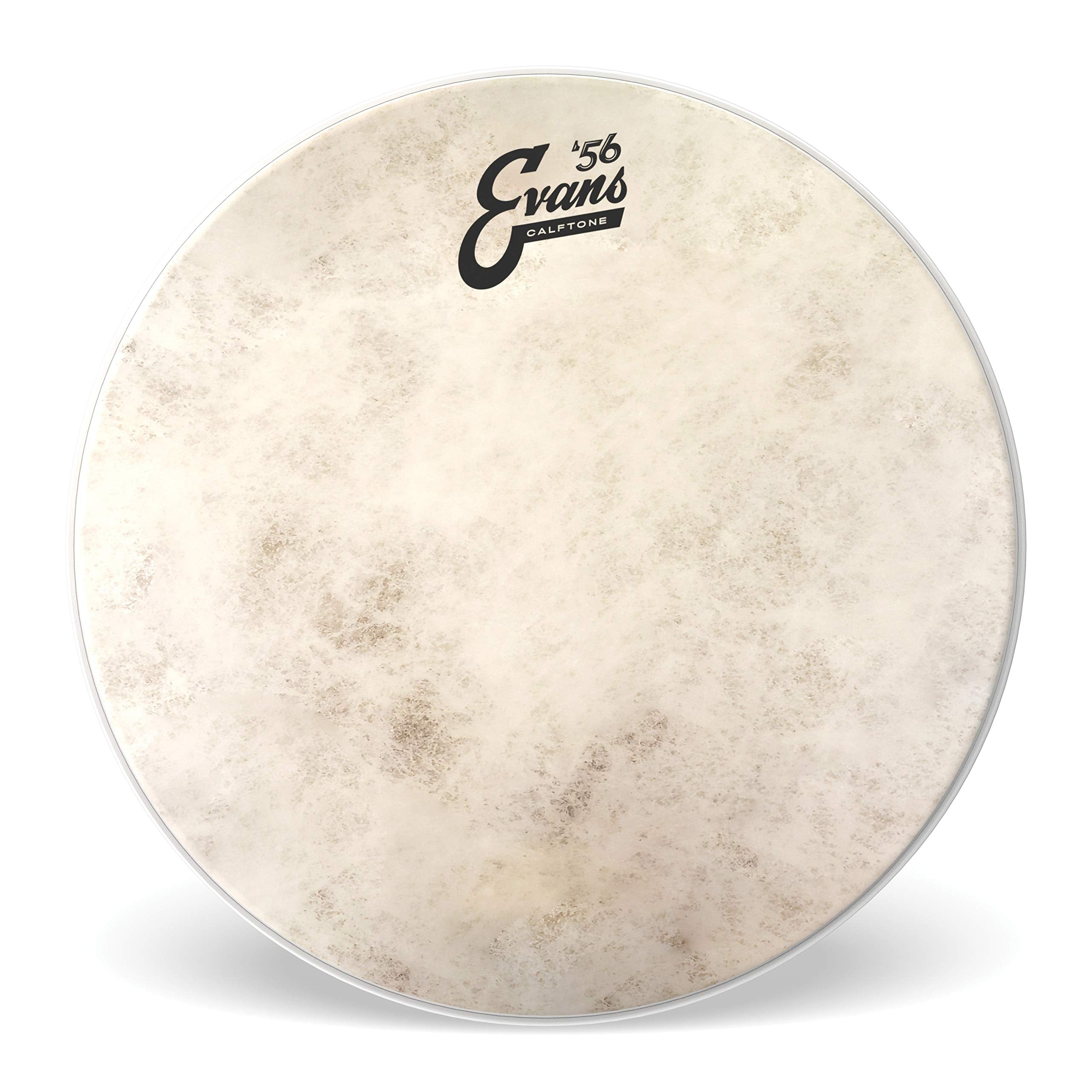Evans Drum Heads - Calftone Tom Drumhead, 8 Inch