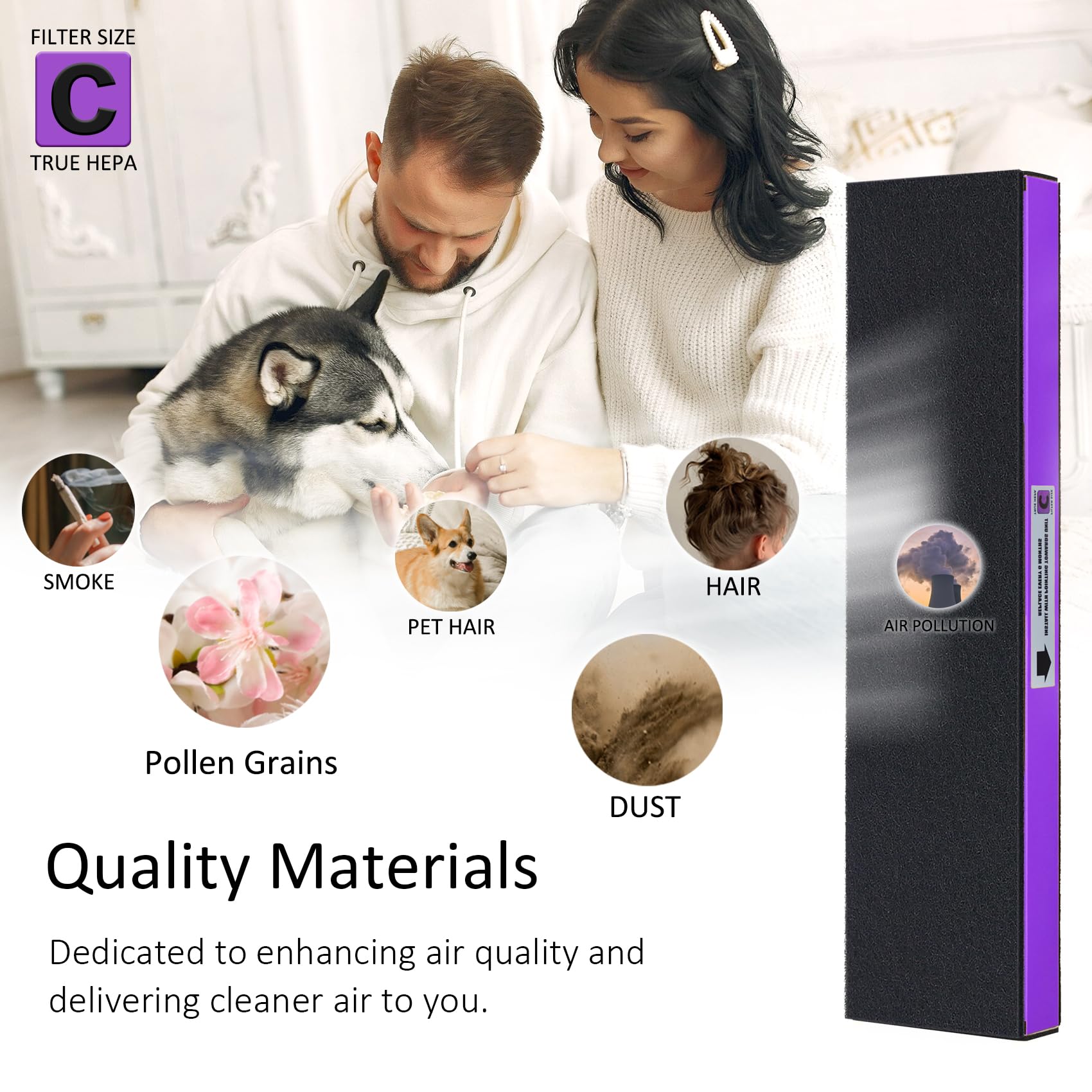 2 Pack Flt5250Pt Filter C Pet, Ture Hepa Replacement Filter, Compatible With G Guardian Air Purifier Ac5000, Ac5000E, Ac5250Pt,