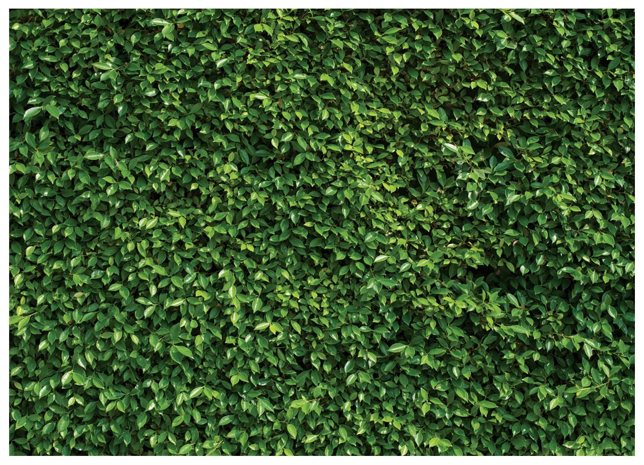 Wolada 7X5Ft Green Backdrop Greenery Wall Backdrop Green Leaves Backdrop Green Grass Backdrop Green Ivy Backdrop Bridal Baby Sho