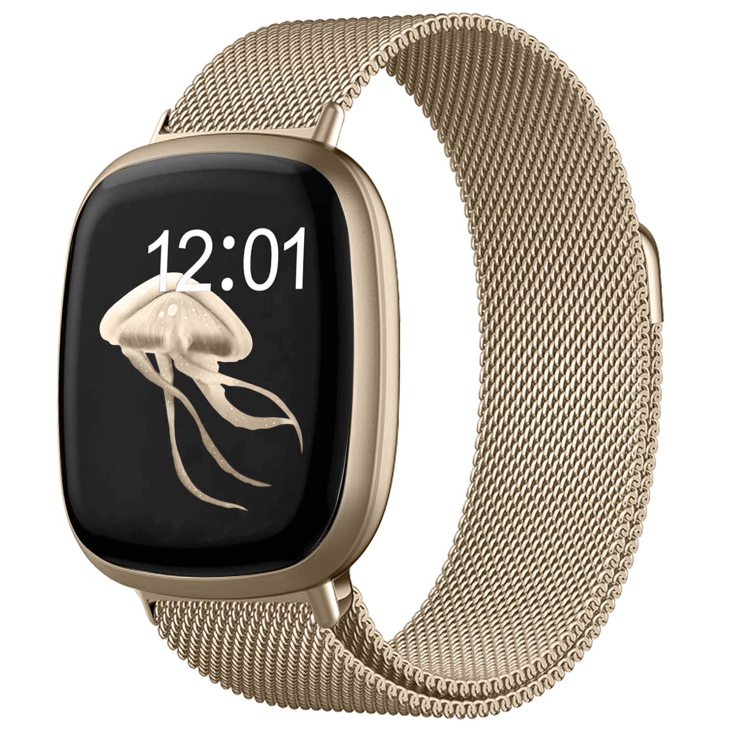 Watdpro Compatible With Fitbit Versa 3 Bands/Fitbit Sense Bands For Women Men, Stainless Steel Mesh Loop Replacement Bracelet Ma