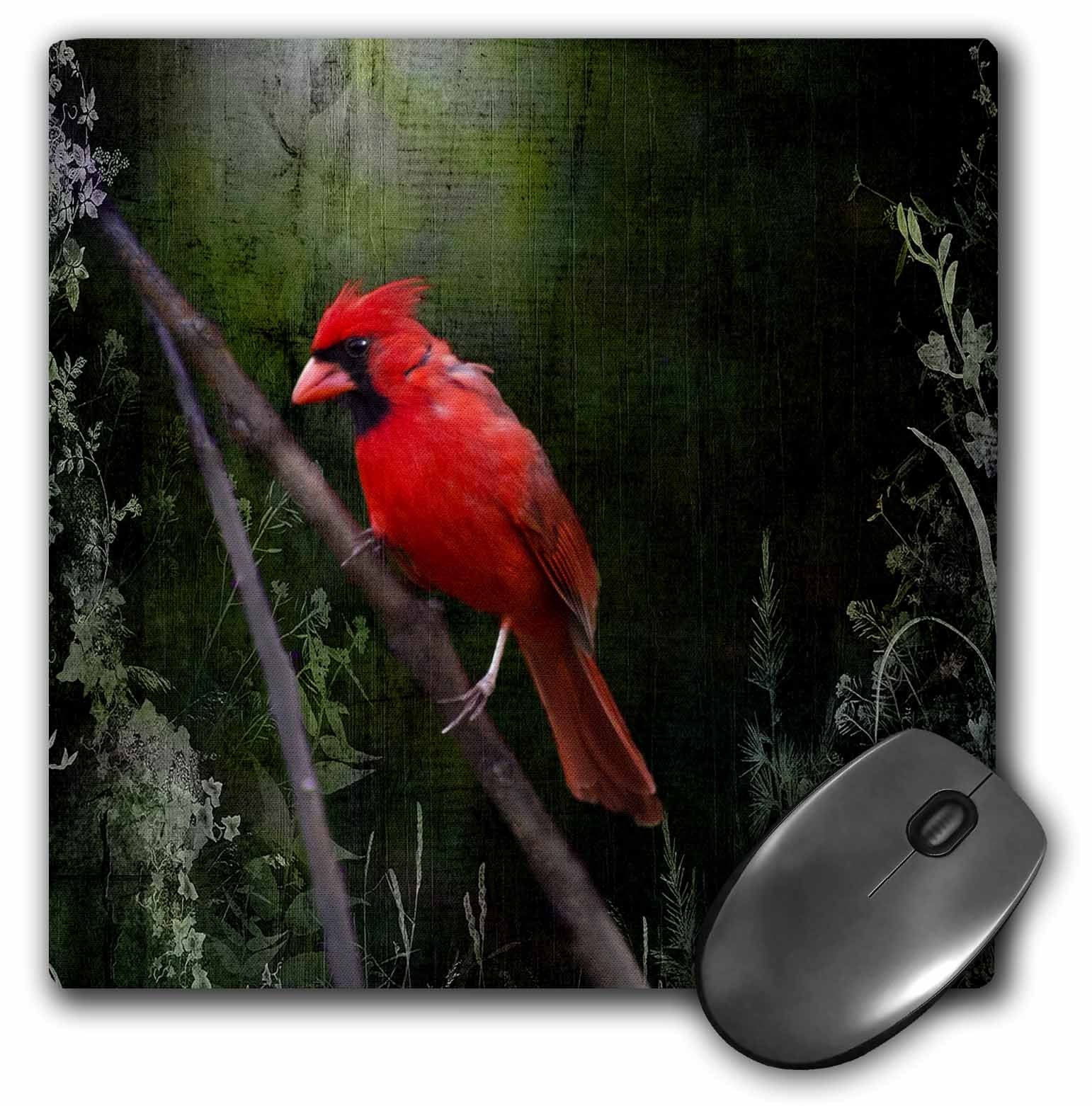 3Drose Llc 8 X 8 X 0.25 Inches Mouse Pad, Wild Cardinal Bird (Mp_48670_1)