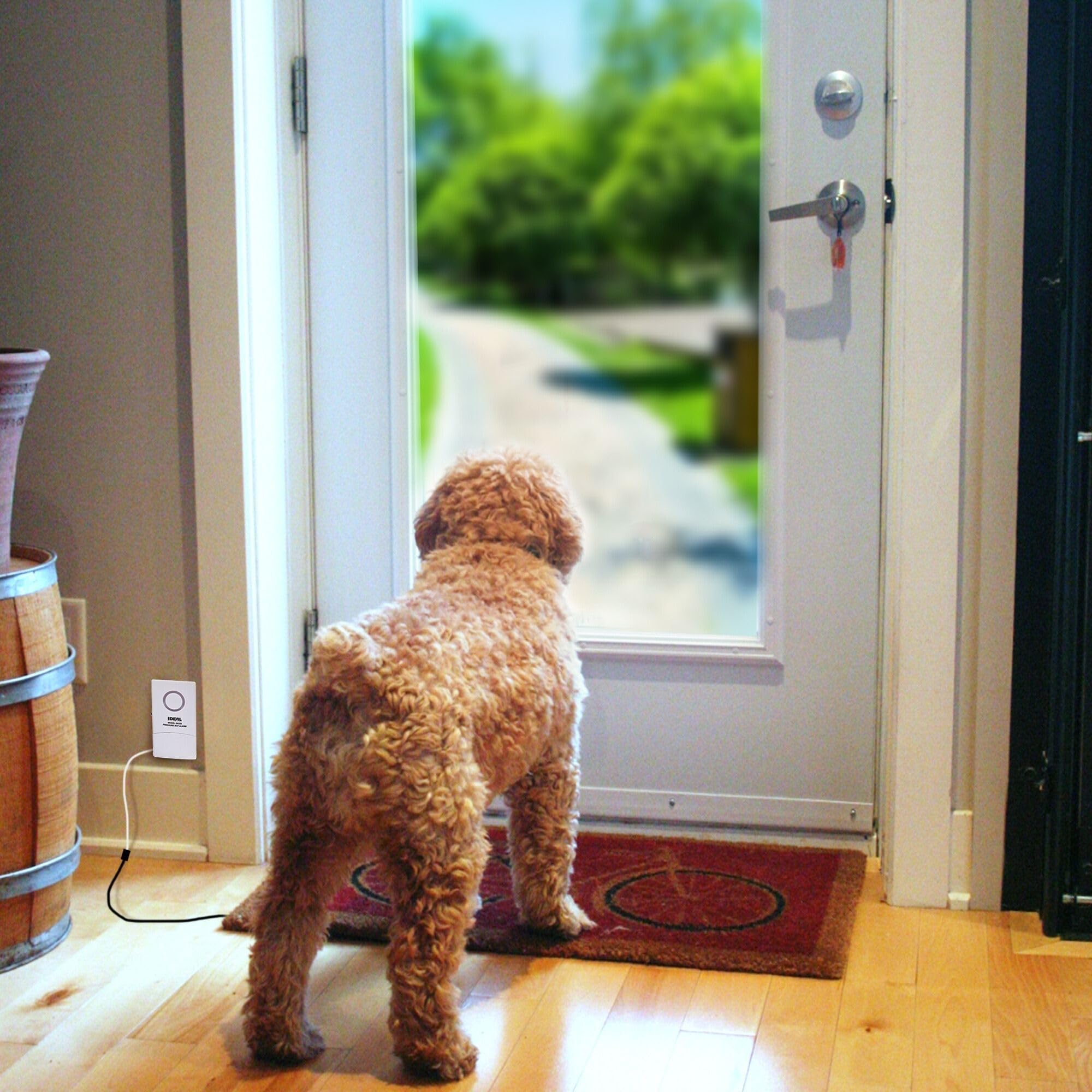 Ideal Security Pressure Floor Mat Home Alarm System � Wired Alarm & Chime, Anti Wandering, Welcome Mat, Pet Door Mat