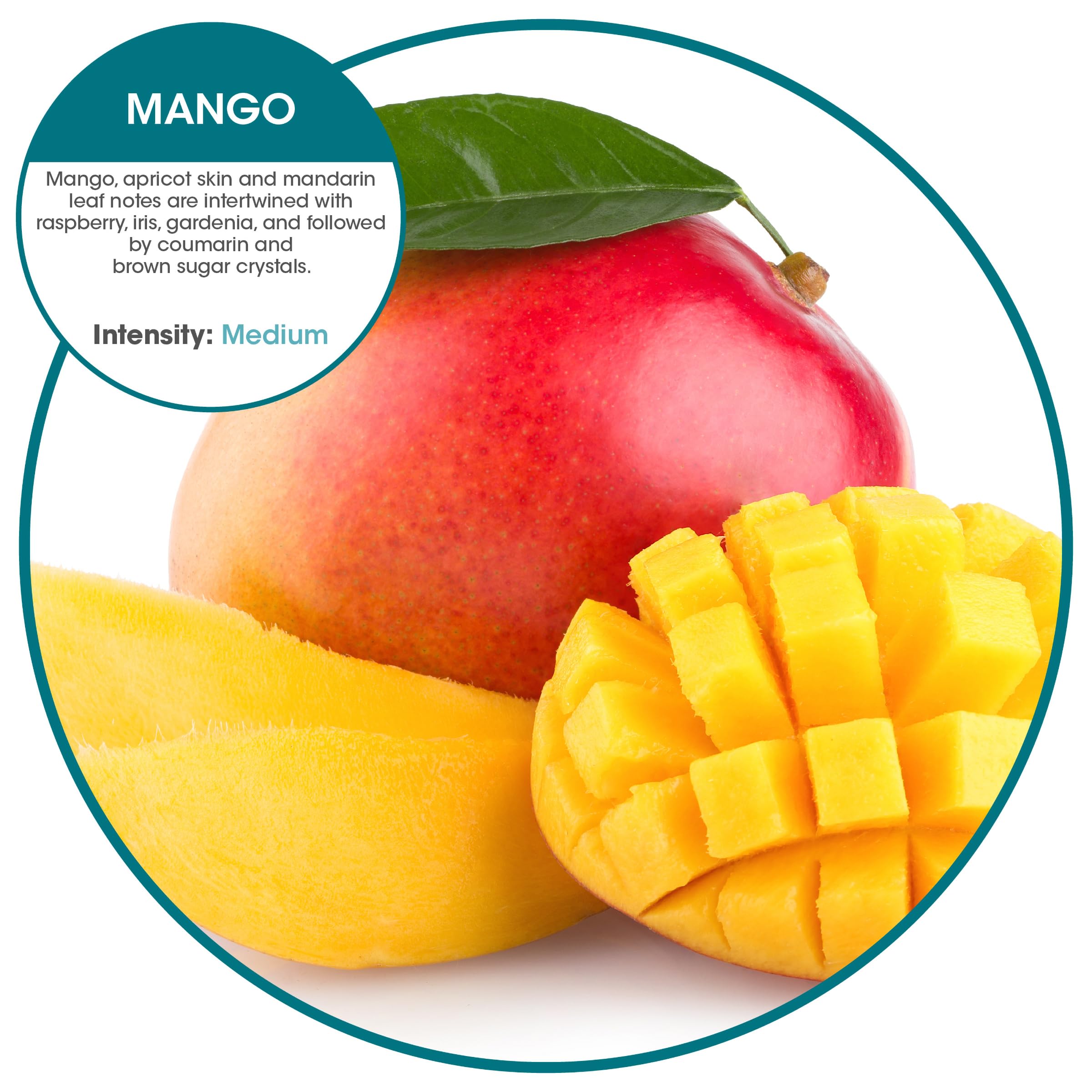 Fresh Products Myfresh 2.0 Personal Air Freshener With Dry Fragrance Technology For Small Spaces Compact Design Motion Sensor Ba