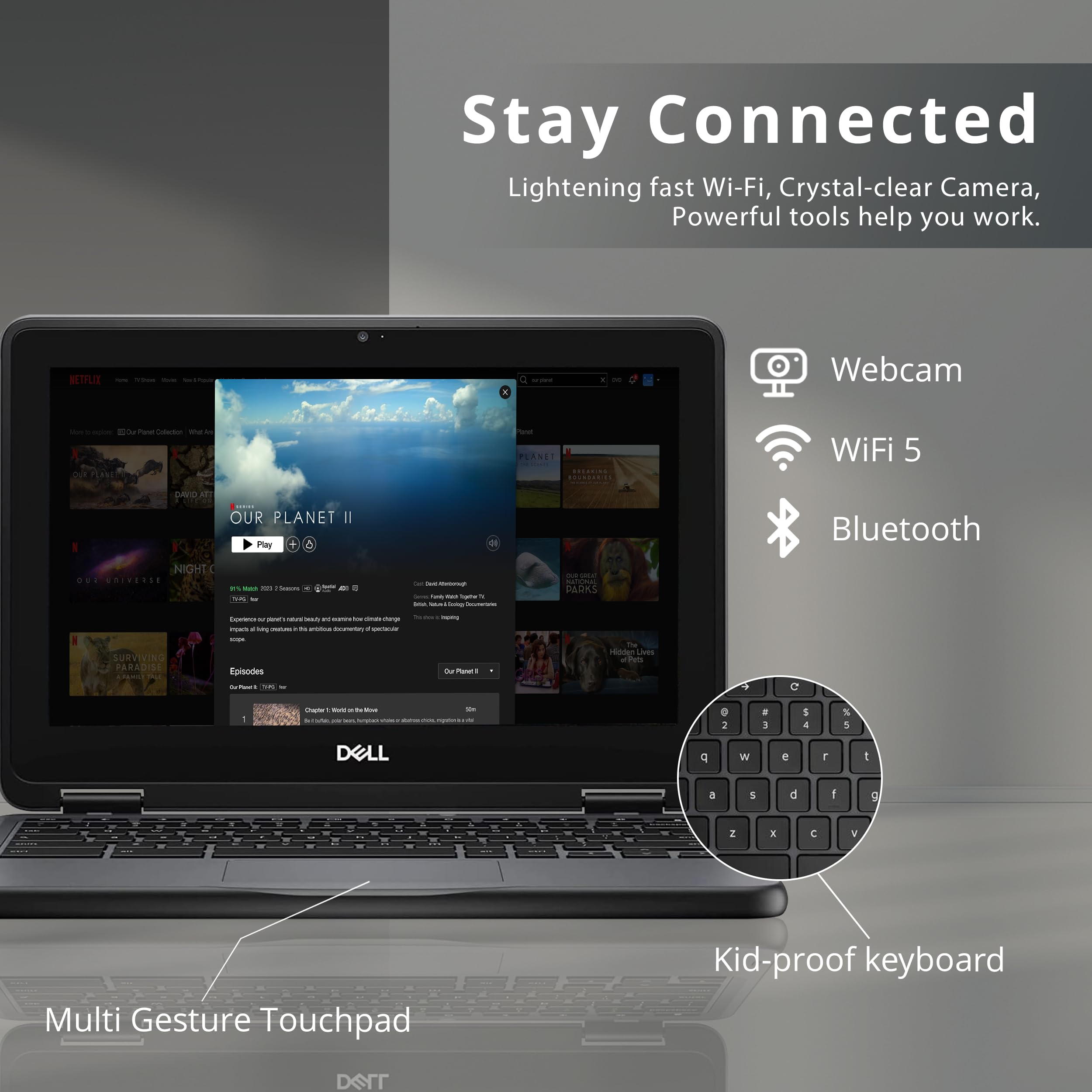 Dell Chromebook 11 3000 3100 11.6 Chromebook - Hd - 1366 X 768 - Intel Celeron N4020 Dual-Core (2 Core) - 4 Gb Ram - 16 Gb Flash