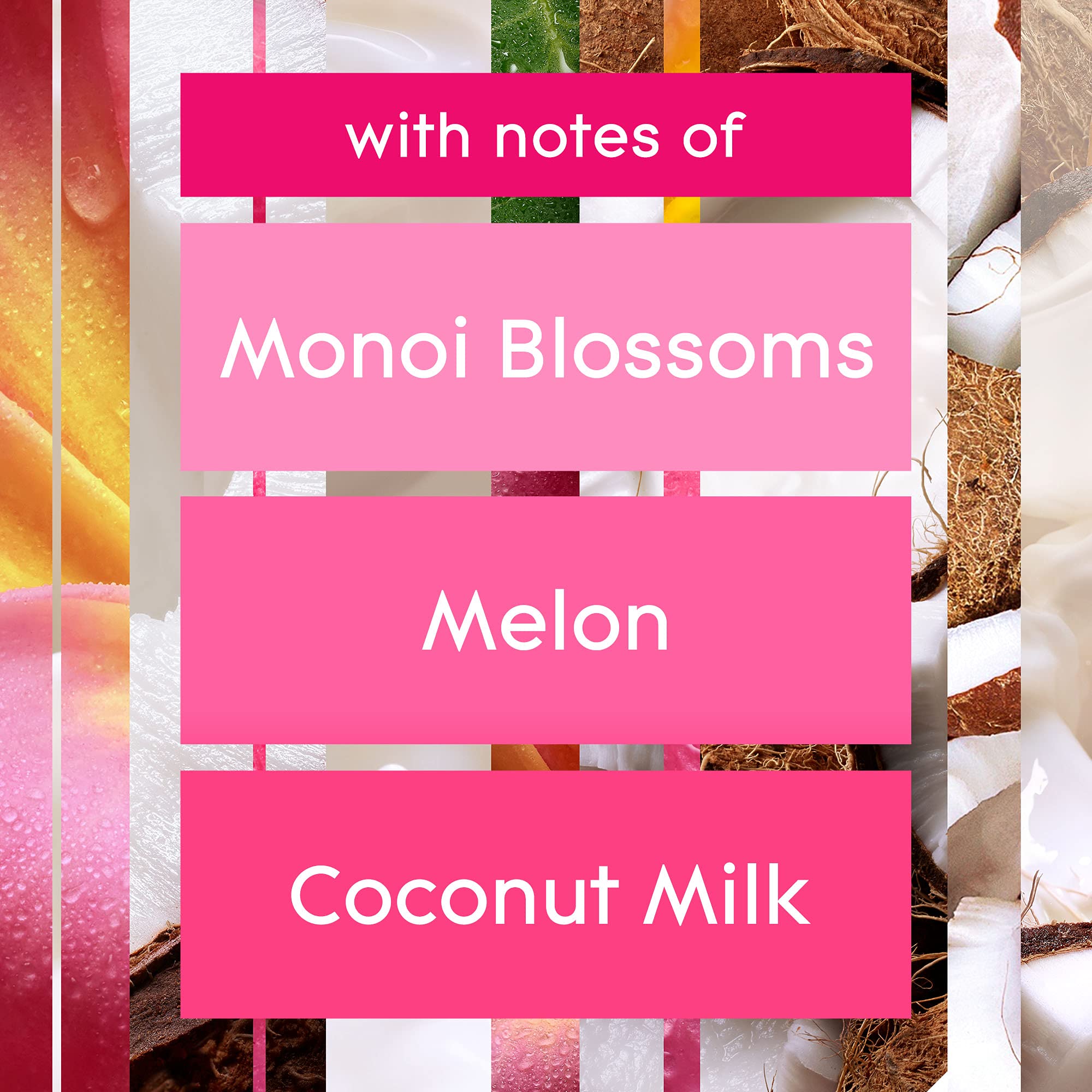 Glade Plugins Scented Oil 10 Refills, Air Freshener, Exotic Tropical Blossoms, 10 X 0.67 Oz, Packaging May Vary