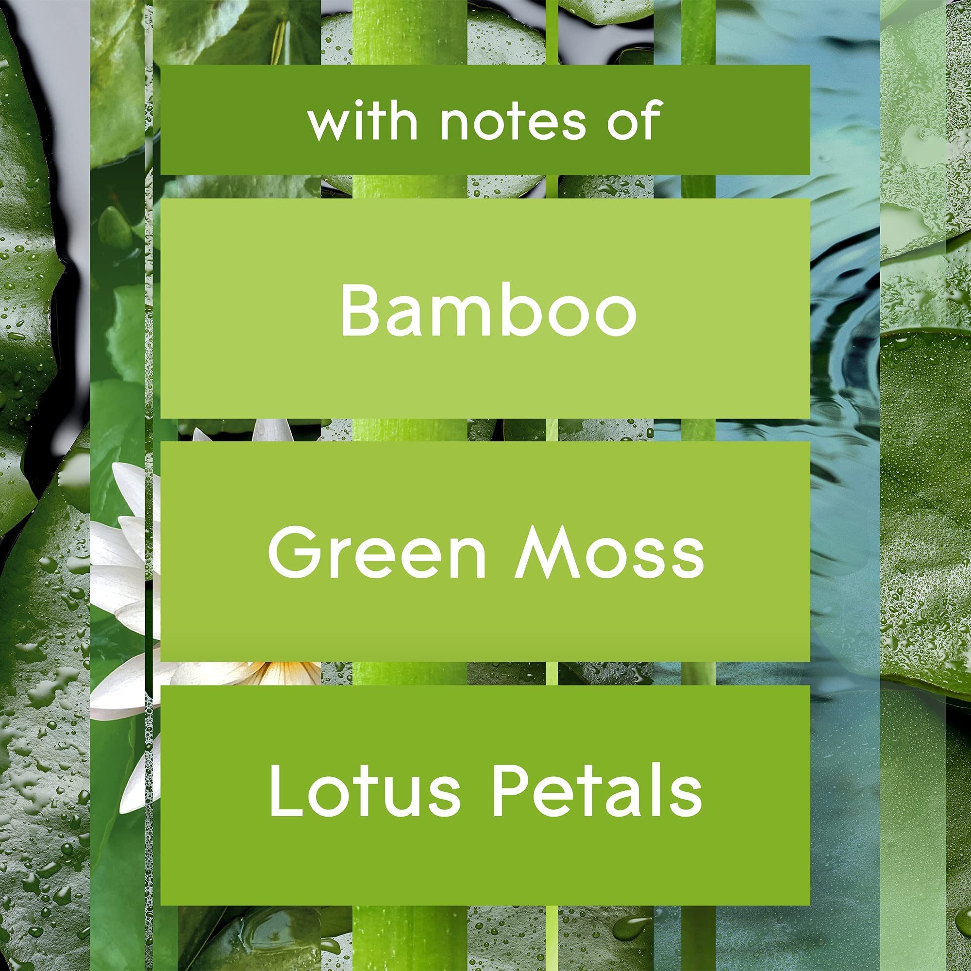 Glade Plugins Refills Air Freshener, Scented And Essential Oils For Home And Bathroom, Bamboo & Bliss, 3.35 Fl Oz, 5 Count