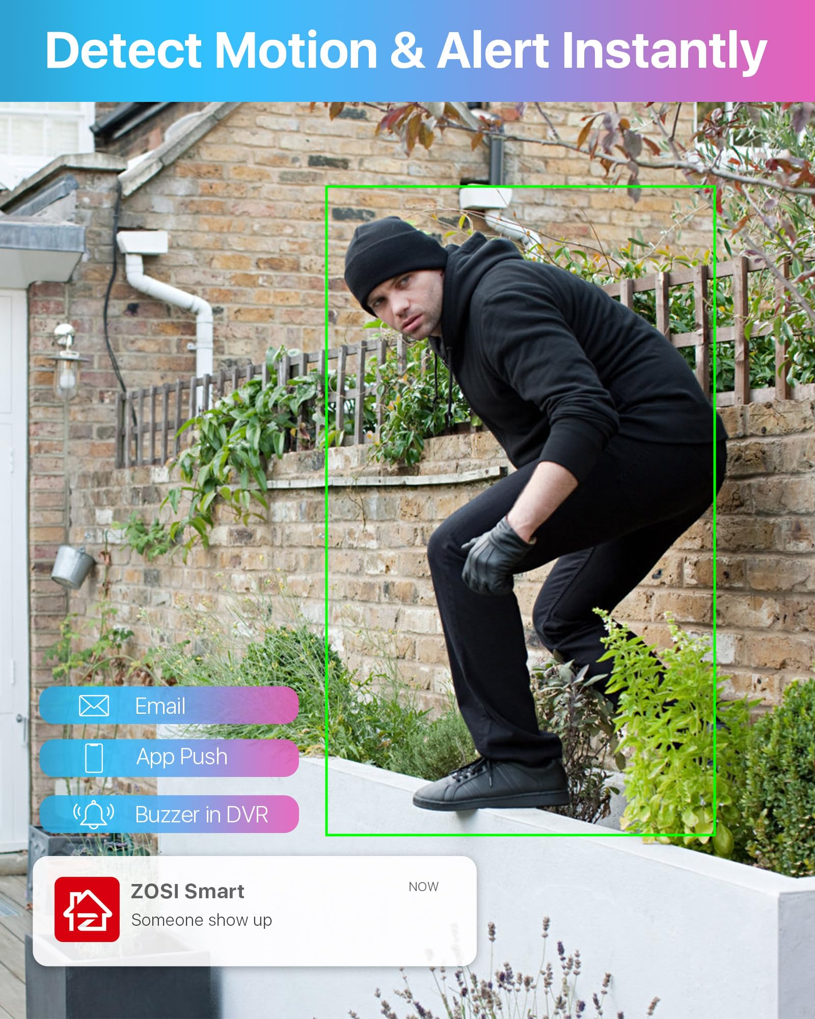 Zosi 8Channel Surveillance Video Recorders 1080N/720P 4-In-1 Hd-Tvi Standalone Cctv Security Dvr System For 720P,1080P Security