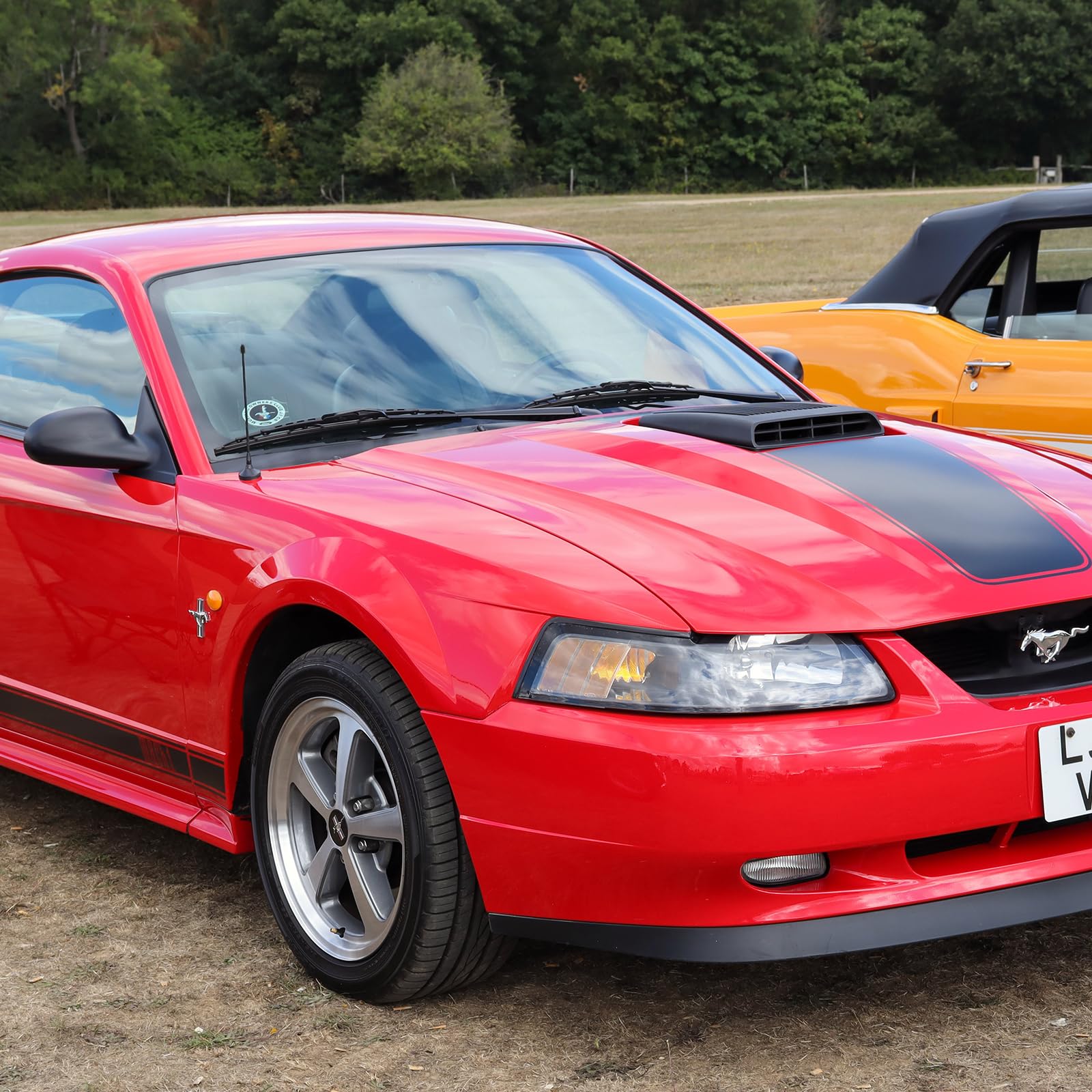 Antenna For Ford Mustang 1979 2009 Ford Mustang Gt V6 Shelby Gt500 Short Antenna Replacement, Ford Mustang Radio Antenna Exterio