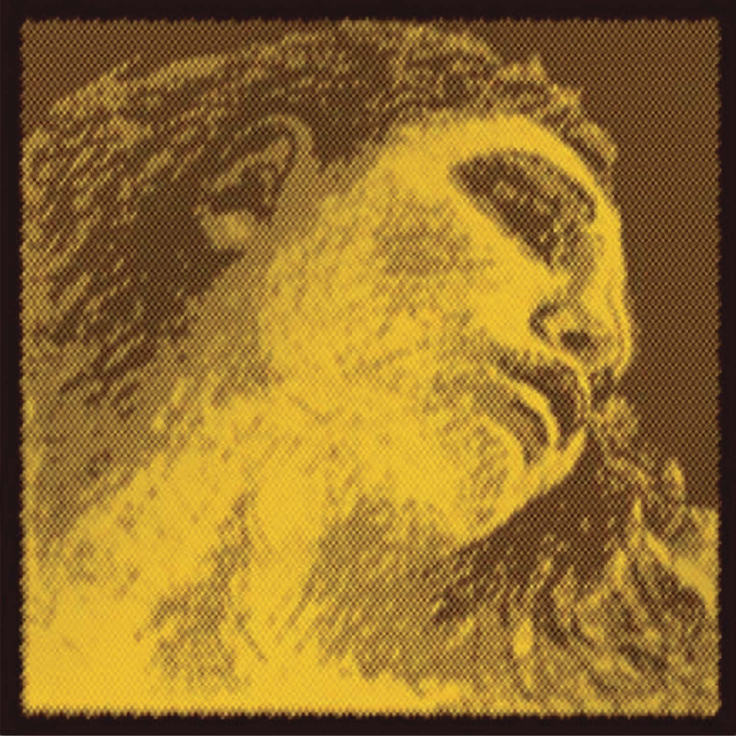 Pirastro Evah Pirazzi Gold Violin String Set   Silver Wound G   Loop E   Medium Gauge