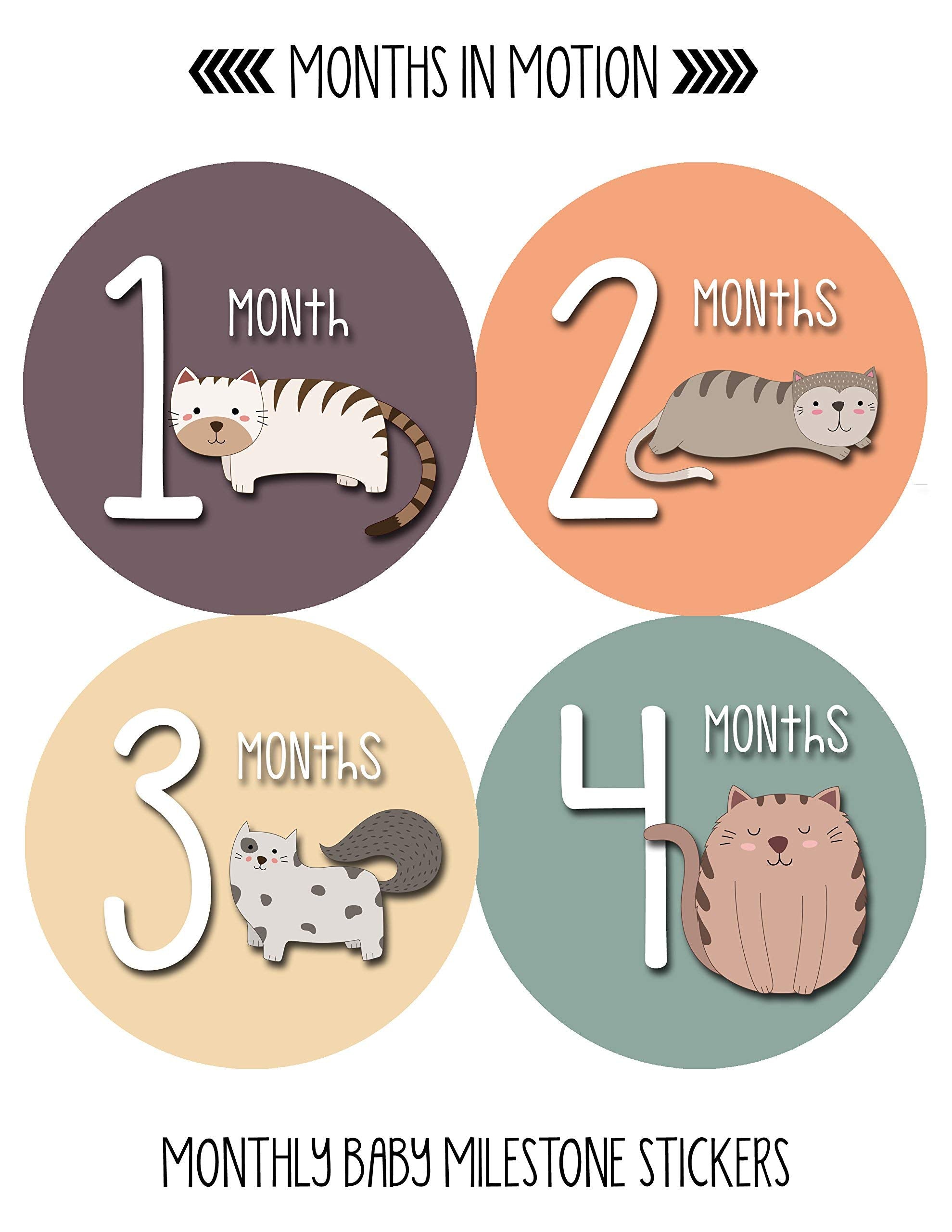 Months In Motion Baby Monthly Stickers   Baby Milestone Stickers   Newborn Girl Stickers   Month Stickers For Baby Girl   Baby G