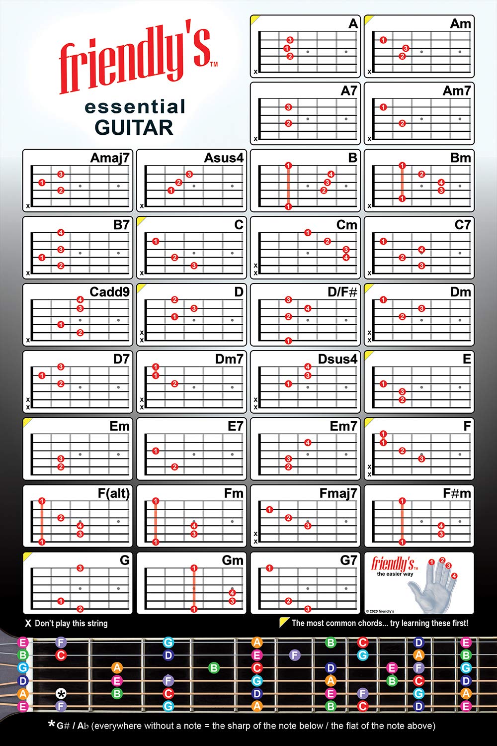 Guitar Chord Chart | 6   X 9    Cheat Sheet | Fretboard, Circle Of Fifths, Progressions | Laminated Low Glare | Easy Reference C
