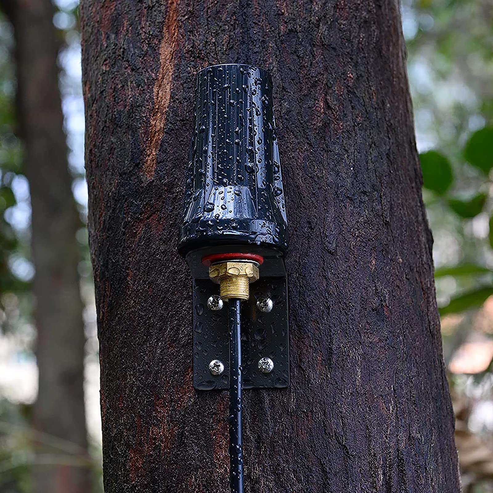 Bingfu 4G Lte Cellular Antenna Outdoor 5Dbi Sma Male Antennas  10Ft Low Loss 195 Coaxial Cable Compatible With Spypoint Link Mic