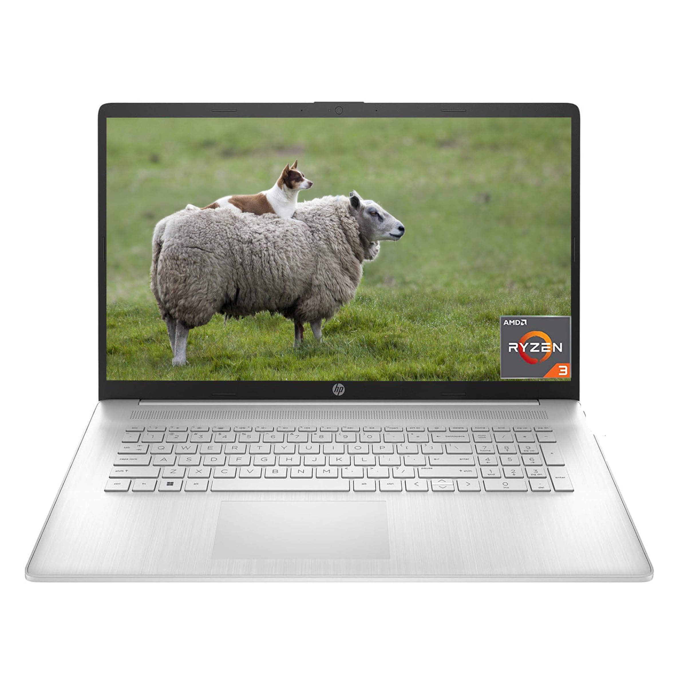 Hp 2024 17.3 Laptop For Business, 17.3'' Hd+ Display, Amd Ryzen 3 7320U(Up To 4.1Ghz), 8Gb Ddr5, 512Gb Ssd, Wi Fi, Bluetooth, Lo