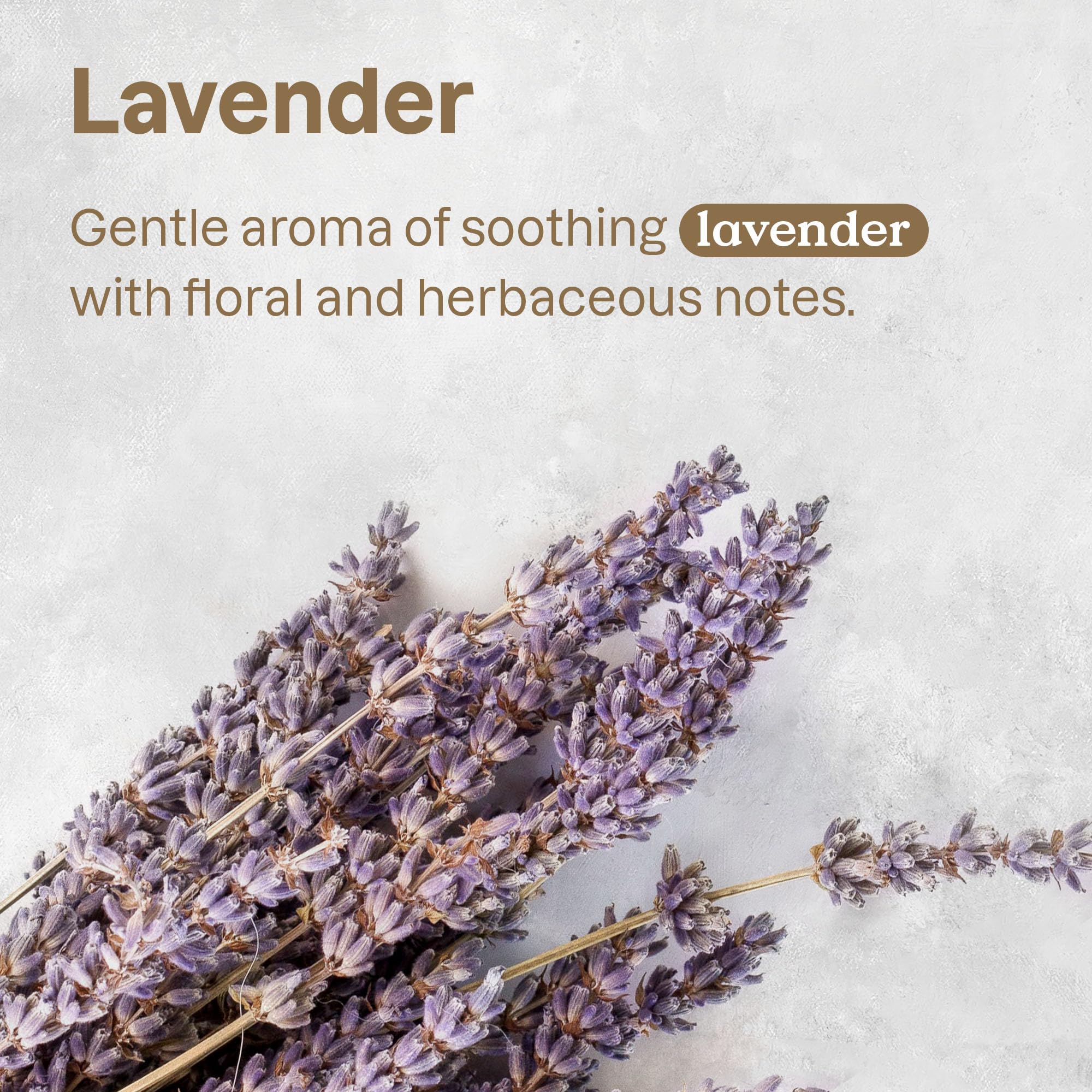 Attitude Air Purifier, Activated Carbon Freshener, Odor Remover, Plant And Mineral-Based, Vegan, Lavender, 8 Ounces (Pack Of 12)