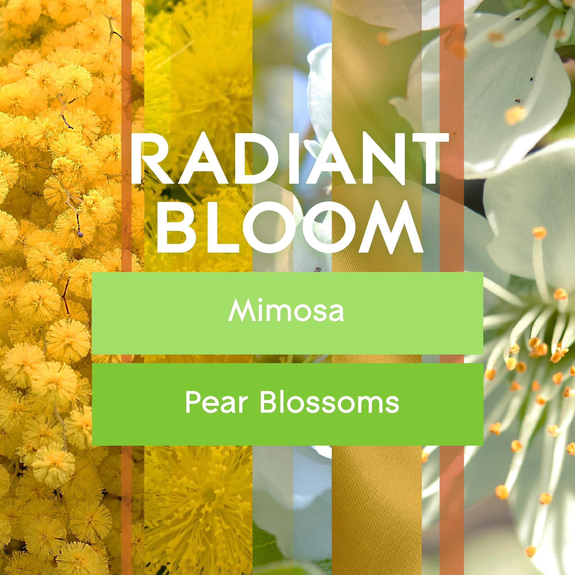 Glade Automatic Spray Air Freshener, Radiant Bloom Limited Edition, 12.4 Oz Total, Pack Of 2 Refills