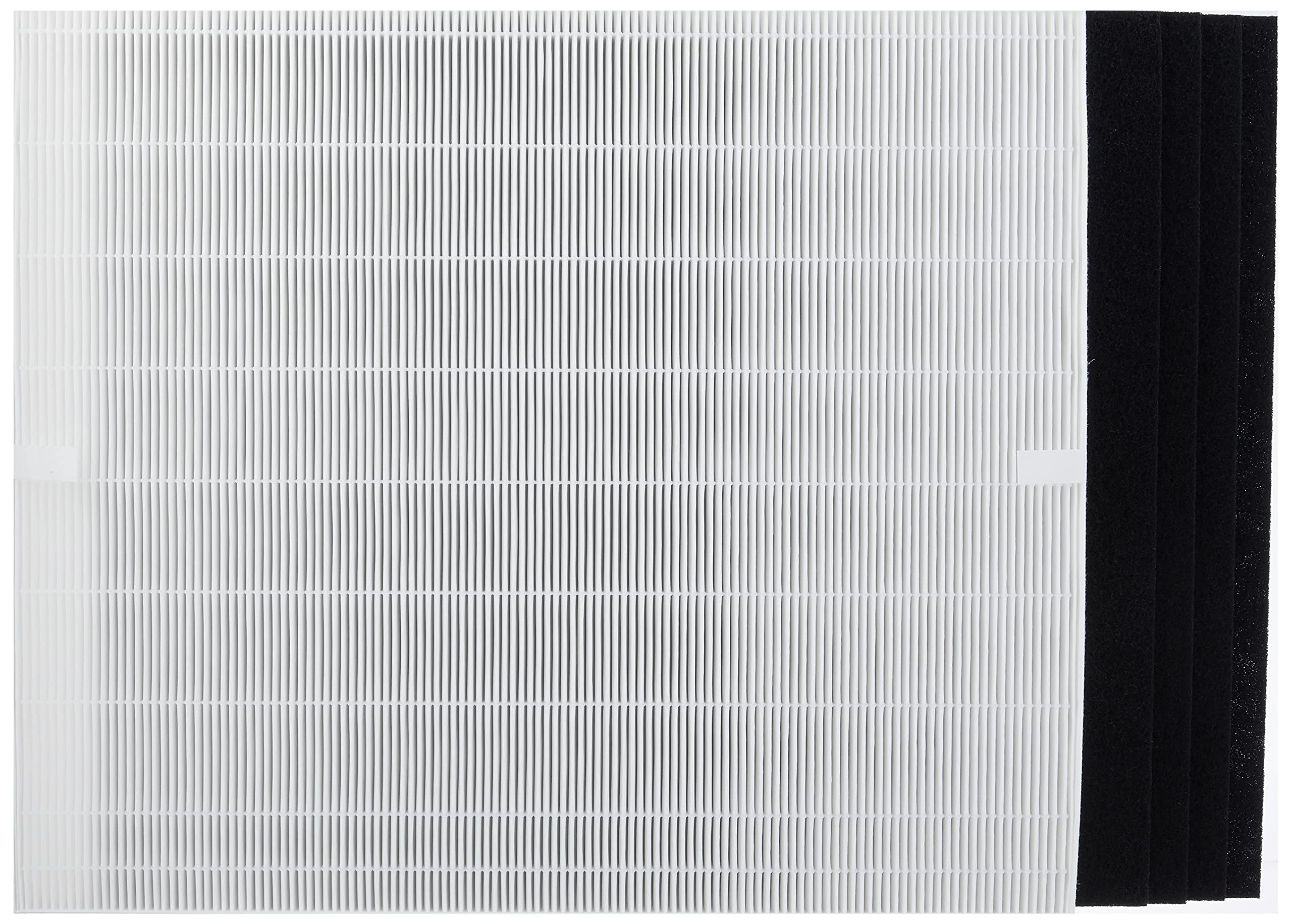 Genuine Winix 113250 Replacement Filter E For P450, White/Black