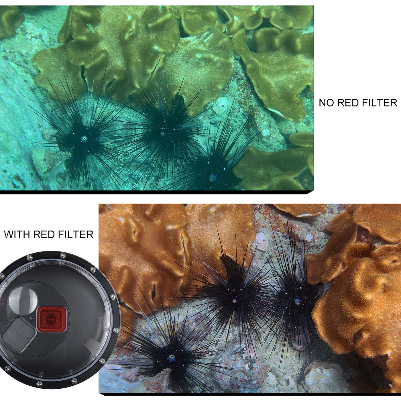 Gepuly Dome Port For Gopro Hero 8 Black, Dome Port Lens With Waterproof Housing Case, Trigger, Floating Hand Grip, Built In Swit