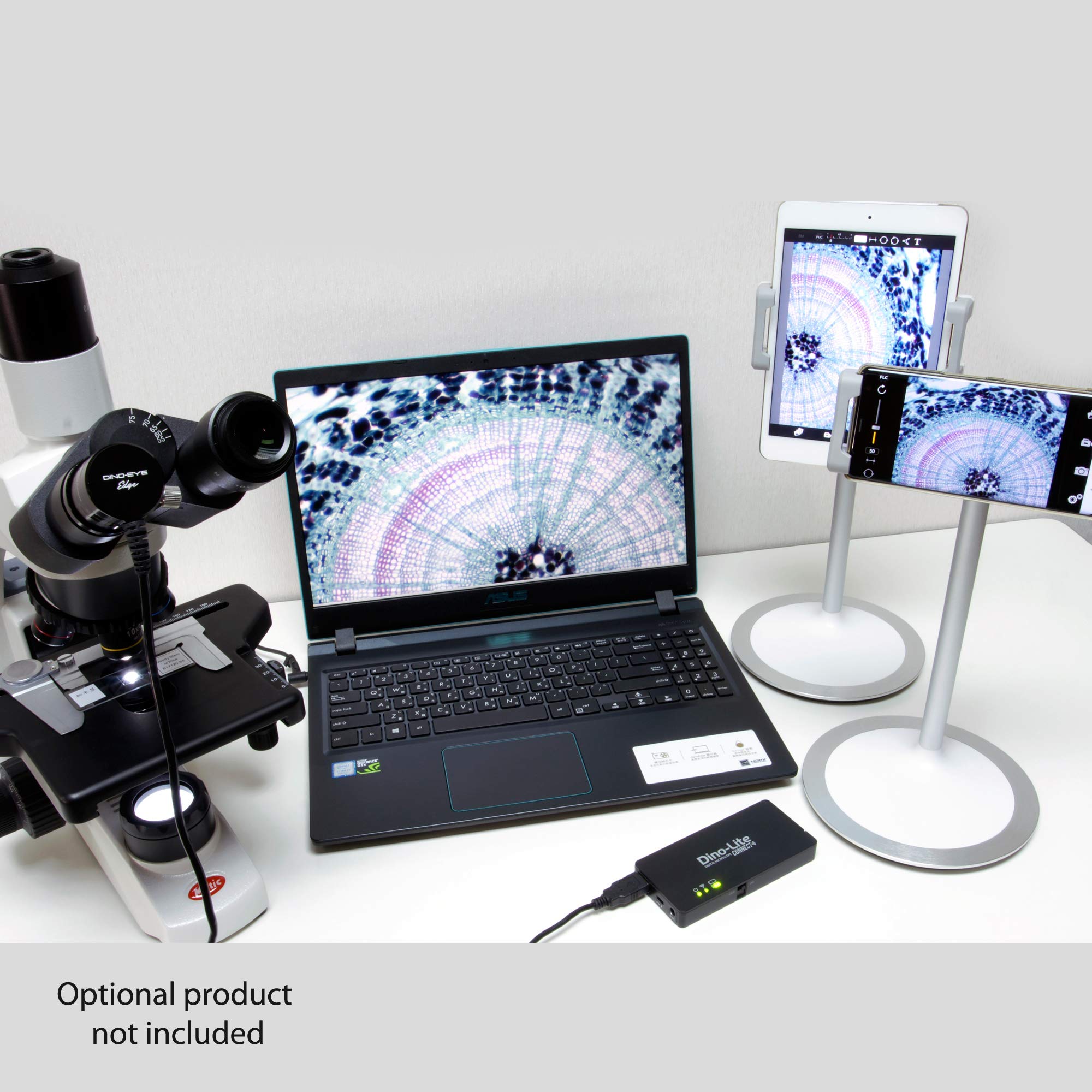 Dino Lite WF 10 WiFi Adapter   Compatible Models Only