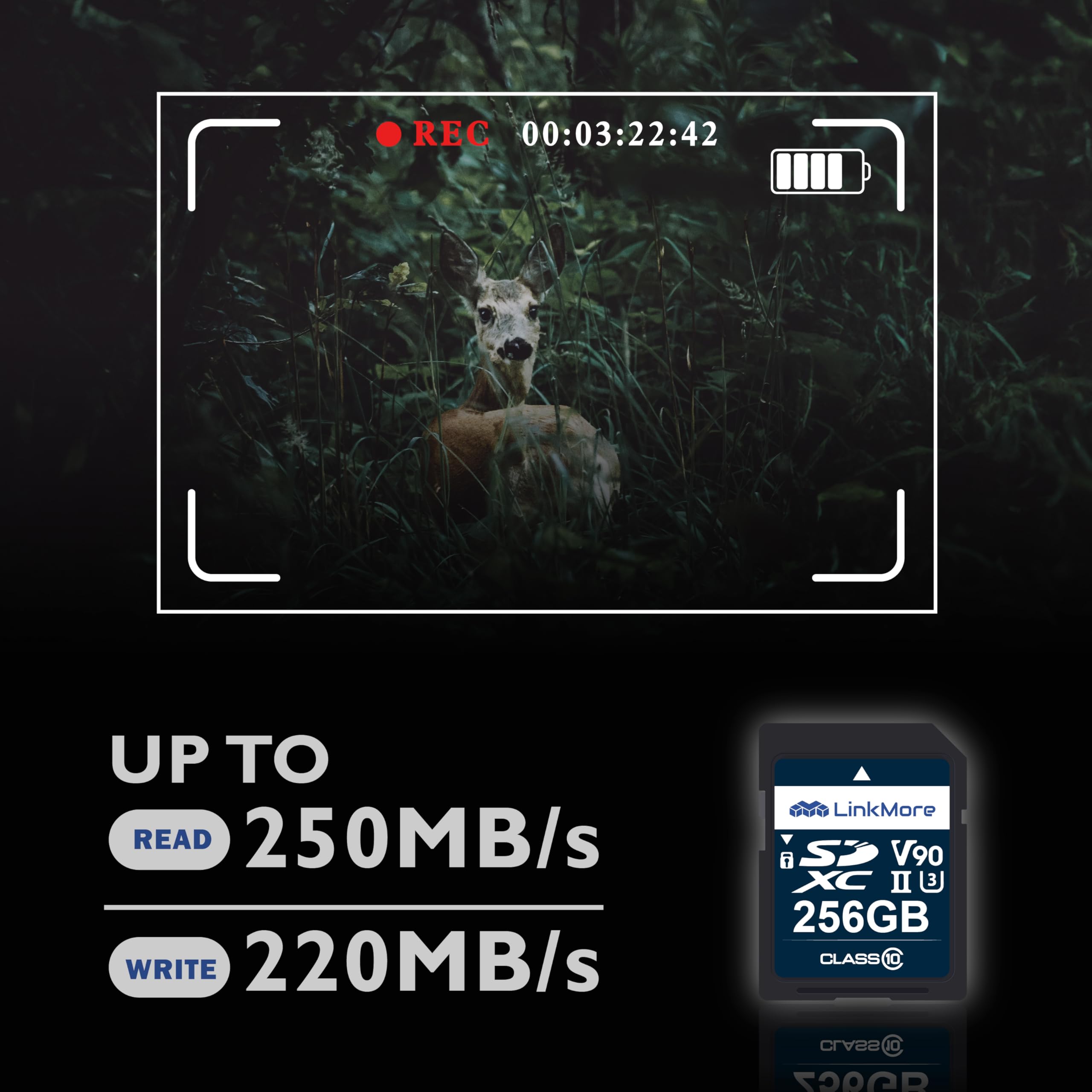 Linkmore Xv29 256Gb Sdxc Uhs Ii Card Uhs Ii Sd Card, C10, U3, V90, Sd Card For Digital Camera, Drone Support 4K 8K Video, Camera