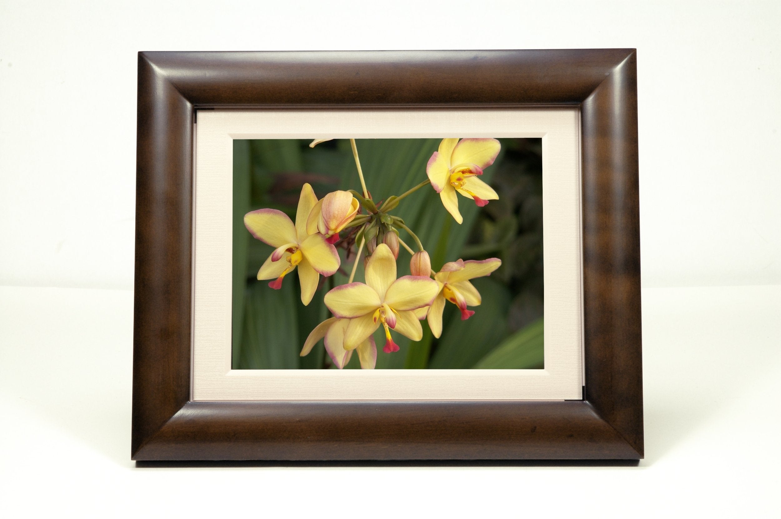 Smartparts Sp800 8 Inch Digital Picture Frame