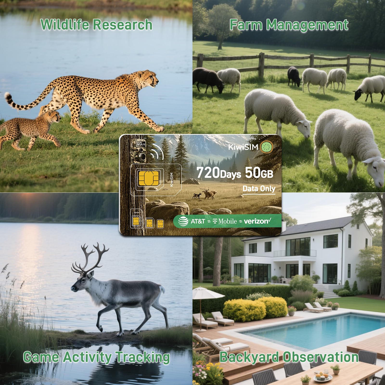 2Pcs Lte Iot Data Sim Card 50Gb 2 Years For Trail Camera & Security Camera,Prepaid Sim For Wildlife Camera, 3-In-1 Sim Kit With