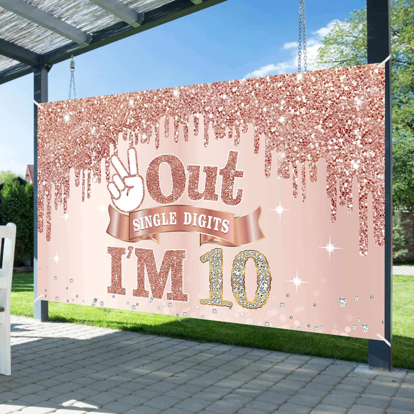 Large 10 Years Old Birthday Banner Decorations For Girls, Pink Rose Gold 10Th Birthday Backdrop Party Supplies, Out Single Digit