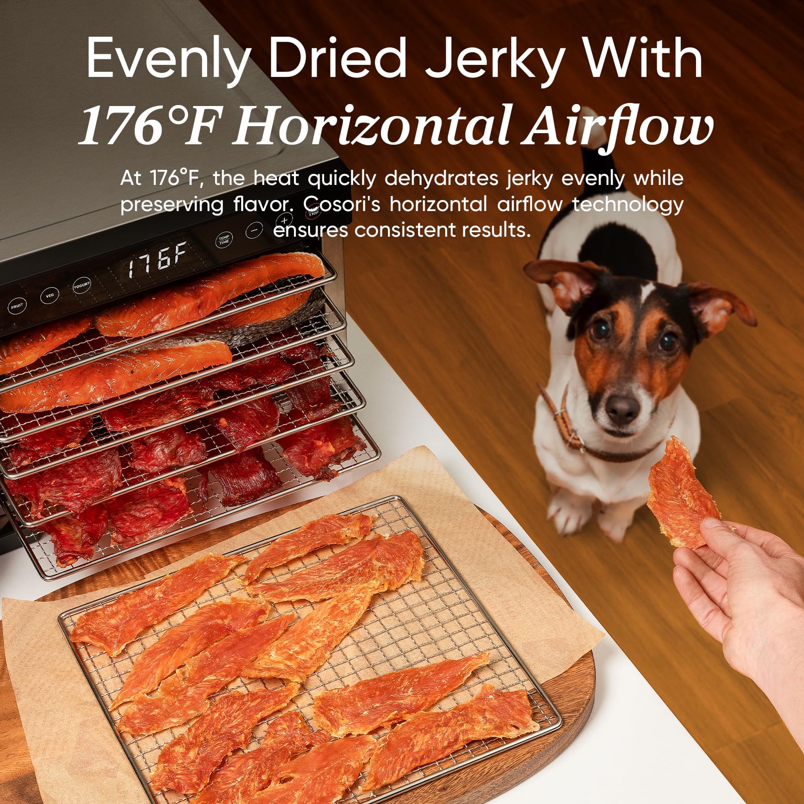 Cosori Food Dehydrator For Jerky, 176?F Temperature Control, 5 Stainless Steel Trays Dryer Machine, 4 Presets, 48H Timer, For Do