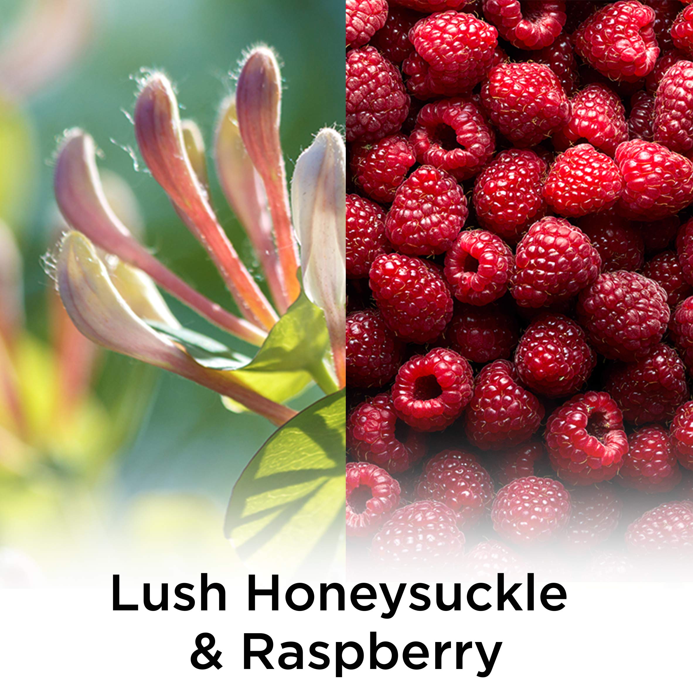 Air Wick Plug In Scented Oil Refill, 5 Ct, Lush Honeysuckle And Raspberry, Air Freshener, Essential Oils, Spring Collection