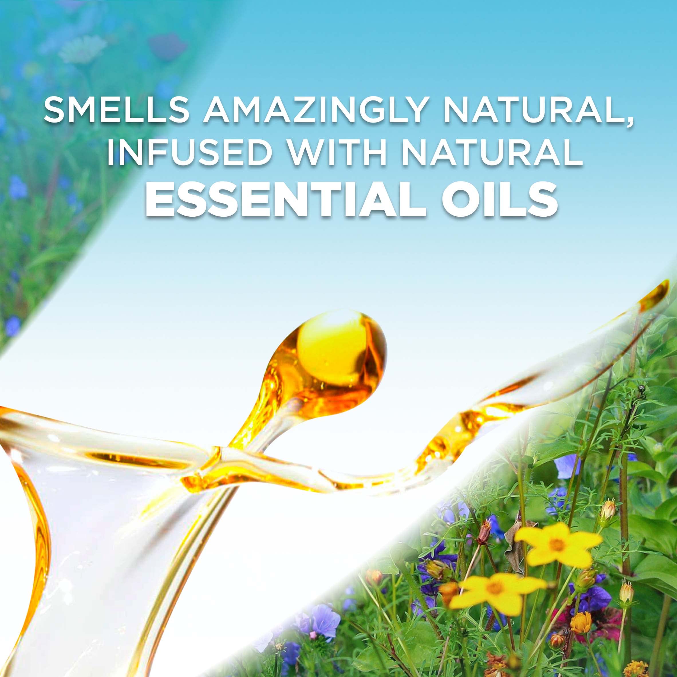 Air Wick Plug In Scented Oil Refill, 10Ct, Blue Agave And Bamboo, Air Freshener, Essential Oils