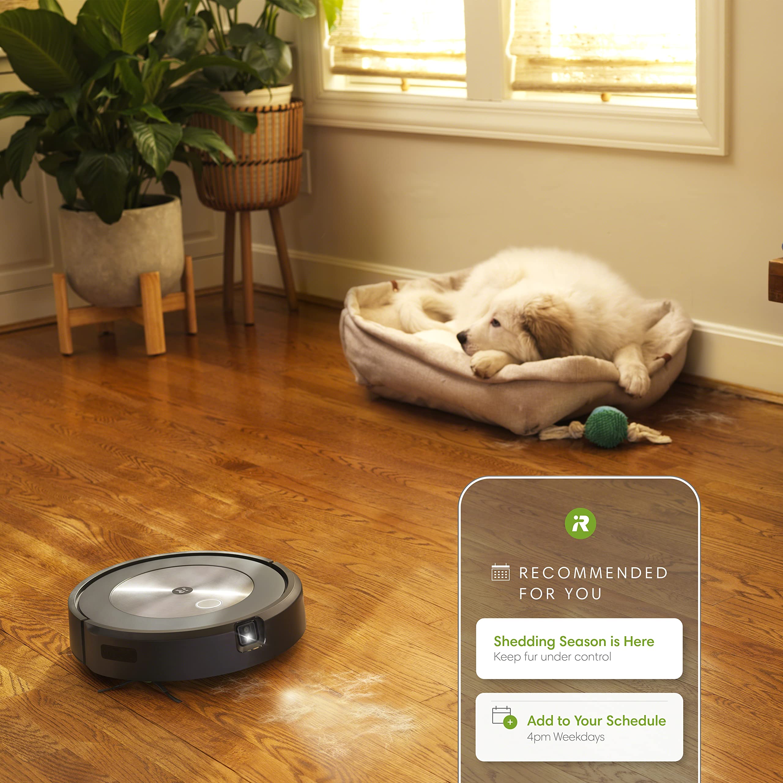 Irobot Roomba J6+ Self Emptying Robot Vacuum   Identifies And Avoids Pet Waste & Cords, Empties Itself For Up To 60 Days, Smart